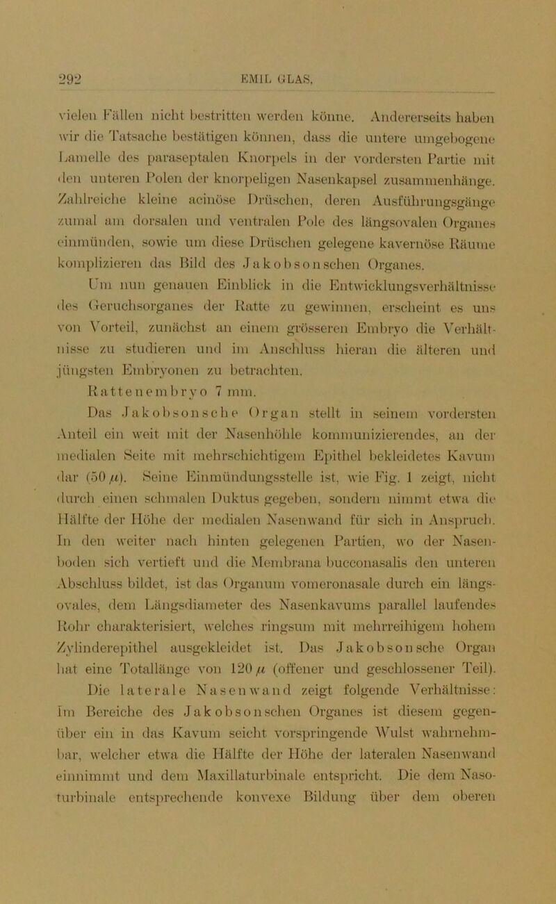 vielen Füllen nicht bestritten werden könne. Andererseits haben wir die Tatsache bestätigen können, dass die untere umgebogene Lamelle des paraseptalen Knorpels in der vordersten Partie mit den unteren Polen der knorpeligen Nasenkapsel Zusammenhänge. Zahlreiche kleine acinöse Drtischen, deren Ausführungsgänge zumal am dorsalen und ventralen Pole des längsovalen Organes einmünden, sowie um diese Dräschen gelegene kavernöse Räume komplizieren das Bild des Jakobsonschen Organes. Um nun genauen Einblick in die Entwicklungsverhältnisse des Geruchsorganes der Ratte zu gewinnen, erscheint es uns von Vorteil, zunächst an einem grösseren Embryo die Verhält- nisse zu studieren und im Anschluss hieran die älteren und jüngsten Embryonen zu betrachten. Rattenemhryo 7 mm. Das Jakobson sc he Organ stellt in seinem vordersten Anteil ein weit mit der Nasenhöhle kommunizierendes, an der medialen »Seite mit mehrschichtigem Epithel bekleidetes Kavum dar (50/i). Seine Einmündungsstelle ist, wie Fig. 1 zeigt, nicht durch einen schmalen Duktus gegeben, sondern nimmt etwa die Hälfte der Höhe der medialen Nasenwand für sich in Anspruch. In den weiter nach hinten gelegenen Partien, wo der Nasen- boden sich vertieft und die Membrana bucconasalis den unteren Abschluss bildet, ist das Organum vomeronasale durch ein längs- ovales, dem Längsdiameter des Nasenkavums parallel laufendes Rohr charakterisiert, welches ringsum mit mehrreihigem hohem Zylinderepithel ausgekleidet ist. Das Jakobson sehe Organ hat eine Totallänge von 120 ju (offener und geschlossener Teil). Die laterale Nasenwand zeigt folgende Verhältnisse: Im Bereiche des Jakobsonschen Organes ist diesem gegen- über ein in das Kavum seicht vorspringende Wulst wahrnehm- bar, welcher etwa die Hälfte der Höhe der lateralen Nasenwand einnimmt und dem Maxillaturbinale entspricht. Die dem Naso- turbinale entsprechende konvexe Bildung über dem oberen