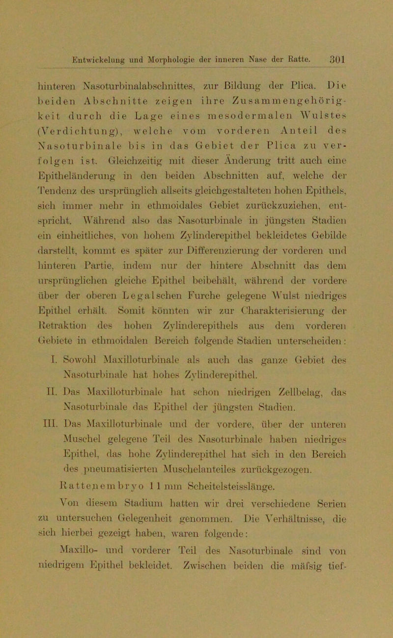 hinteren Xasoturbinalabsehnittes, zur Bildung der Plica. Die beiden Abschnitte zeigen ihre Zusammengehörig- keit durch die Lage eines me so dermalen Wulstes (Verdichtung), welche vom vorderen Anteil des Xasoturbinale bis in das Gebiet der Plica zu ver- folgen ist. Gleichzeitig mit dieser Änderung tritt auch eine Epitheländerung in den beiden Abschnitten auf, welche der Tendenz des ursprünglich allseits gleichgestalteten hohen Epithels, sich immer mehr in ethmoidales Gebiet zurückzuziehen, ent- spricht. Während also das Xasoturbinale in jüngsten Stadien ein einheitliches, von hohem Zylinderepithel bekleidetes Gebilde darstellt, kommt es später zur Differenzierung der vorderen und hinteren Partie, indem nur der hintere Abschnitt das dem ursprünglichen gleiche Epithel beibehält, während der vordere über der oberen Legal sehen Furche gelegene Wulst niedriges Epithel erhält. Somit könnten wir zur Charakterisierung der Retraktion des hohen Zylinderepithels aus dem vorderen Gebiete in ethmoidalen Bereich folgende Stadien unterscheiden: 1. Sowohl Maxilloturbinale als auch das ganze Gebiet des Xasoturbinale hat hohes Zylinderepithel. II. Das Maxilloturbinale hat schon niedrigen Zellbelag, das Xasoturbinale das Epithel der jüngsten Stadien. III. Das Maxilloturbinale und der vordere, über der unteren Muschel gelegene Teil des Xasoturbinale haben niedriges Epithel, das hohe Zylinderepithel hat sich in den Bereich des pneumatisierten Muschelanteiles zurückgezogen. Rattepembryo 11mm Scheitelsteisslänge. Von diesem Stadium hatten wir drei verschiedene Serien zu untersuchen Gelegenheit genommen. Die Verhältnisse, die sich hierbei gezeigt haben, waren folgende: Maxillo- und vorderer Teil des Xasoturbinale sind von niedrigem Epithel bekleidet. Zwischen beiden die mäfsig tief-