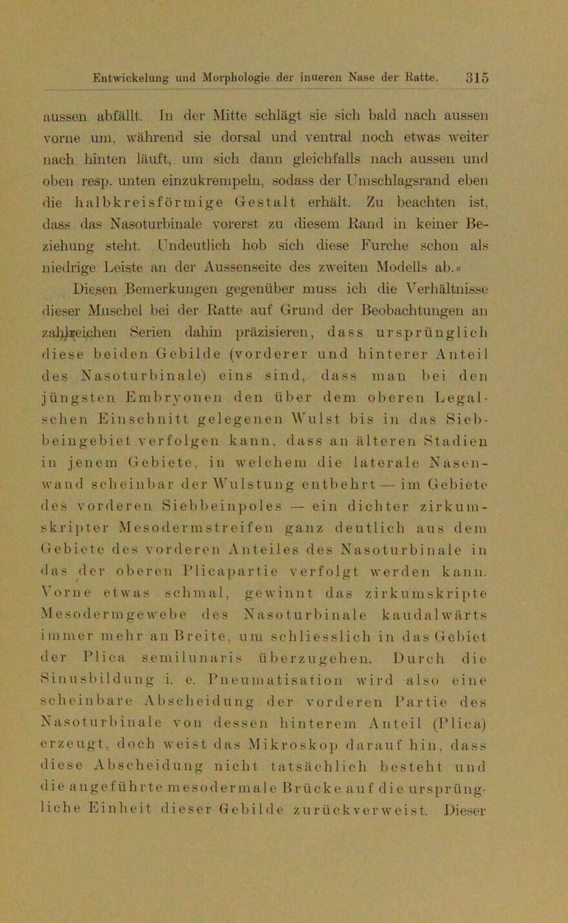 aussen abfällt. In der Mitte schlägt sie sich bald nach aussen vorne um, während sie dorsal und ventral noch etwas weiter nach hinten läuft, um sich dann gleichfalls nach aussen und oben resp. unten einzukrempeln, sodass der Umschlagsrand eben die halbkreisförmige Gestalt erhält. Zu beachten ist, dass das Nasoturbinale vorerst zu diesem Rand in keiner Be- ziehung stellt. Undeutlich hob sich diese Furche schon als niedrige Leiste an der Aussenseite des zweiten Modells ab.« Diesen Bemerkungen gegenüber muss ich die Verhältnisse dieser Muschel bei der Ratte auf Grund der Beobachtungen an zahlreichen Serien dahin präzisieren, dass ursprünglich diese beiden Gebilde (vorderer und hinterer Anteil des Nasoturbinale) eins sind, dass man bei den jüngsten Embryonen den über dem oberen Legal- schen Einschnitt gelegenen Wulst bis in das Sieb- beingebiet verfolgen kann, dass an älteren Stadien in jenem Gebiete, in welchem die laterale Nasen- wand scheinbar der Wulstung entbehrt — im Gebiete des vorderen Si ebb ein pol es — ein dichter zirkum- skripter Mesodermstreifen ganz deutlich aus dem Gebiete des vorderen Anteiles des Nasoturbinale in das der oberen Plicapartie verfolgt werden kann. Vorne etwas schmal, gewinnt das zirkumskripte Mesoderm ge webe des Nasoturbinale kaudal wärts immer mehr an Breite, um schliesslich in das Gebiet der Plica semilunaris überzugehen. Durch die Sinusbildung i. e. Pneumatisation wird also eine scheinbare Ab sch ei düng der vorderen Partie des Nasoturbinale von dessen hinterem Anteil (Plica) erzeugt, doch weist das Mikroskop darauf hin, dass diese Abscheidung nicht tatsächlich besteht und die an gef üh rte m eso der male Brücke a u f d i e urspr üng- liche Einheit dieser Gebilde zurück verweist. Dieser