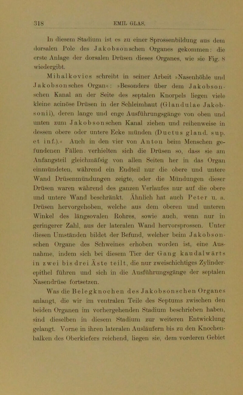 In diesem Stadium ist es zu einer Sprossen bi ldung aus dem dorsalen Pole des Jakobson sehen Organes gekommen: die erste Anlage der dorsalen Drüsen dieses Organes, wie sie Fig. 8 wiedergibt. Mihalkovics schreibt in seiner Arbeit »Nasenhöhle und Jakobsonsches Organ«: »Besonders über dem Jakobson- sehen Kanal an der Seite fies septalen Knorpels liegen viele kleine acinöse Drüsen in der Schleimhaut (Glandulae Jakob- sonii), deren lange und enge Ausführungsgänge von oben und unten zum Jakobson sehen Kanal ziehen und i’eihenweise in dessen obere oder untere Ecke münden (Ductus gl and. sup. et inf.).« Auch in den vier von Anton beim Menschen ge- fundenen Fällen verhielten sich die Drüsen so, dass sie am Anfangsteil gleichmäfsig von allen Seiten her in das Organ einmündeten, während ein Endteil nur die obere und untere Wand Drüsenmündungen zeigte, oder die Mündungen dieser Drüsen waren während des ganzen Verlaufes nur auf die obere und untere Wand beschränkt. Ähnlich hat auch Peter u. a. Drüsen hervorgehoben, welche aus dem oberen und unteren Winkel des längsovalen Rohres, sowie auch, wenn nur in geringerer Zahl, aus der lateralen Wand hervorsprossen. Unter diesen Umständen bildet der Befund, welcher beim Jakobson- schen Organe des Schweines erhoben worden ist, eine Aus- nahme, indem sich bei diesem Tier der Gang kau dal wärt s in zwei bis drei Aste teilt, die nur zweischichtiges Zylinder- epithel führen und sich in die Ausführungsgänge der septalen Nasendrüse fortsetzen. Was die B e 1 e g k n o c h e n desJakobsonschen Organes anlangt, die wir im ventralen Teile des Septums zwischen den beiden Organen im vorhergehenden Stadium beschrieben haben, sind dieselben in diesem Stadium zur weiteren Entwicklung gelangt. Vorne in ihren lateralen Ausläufern bis zu den Knochen- balken des Oberkiefers reichend, liegen sie, dem vorderen Gebiet