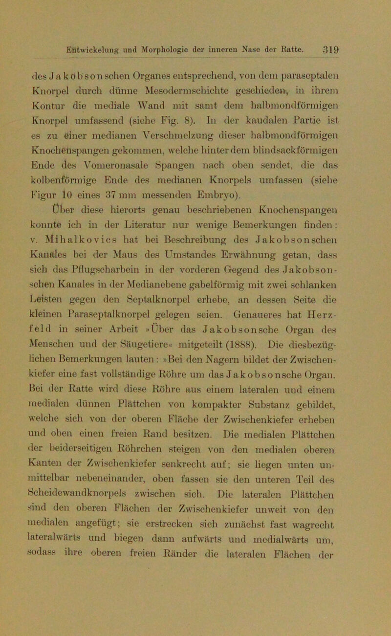 des Jako b s o n sehen Organes entsprechend, von dem paraseptalen Knorpel durch dünne Mesodermschichte geschieden, in ihrem Kontur die mediale Wand mit samt dem halbmondförmigen Knorpel umfassend (siehe Fig. 8). In der kaudalen Partie ist es zu einer medianen Verschmelzung dieser halbmondförmigen Knochenspangen gekommen, welche hinter dem blind sackförmigen Ende des Vomeronasale Spangen nach oben sendet, die das kolbenförmige Ende des medianen Knorpels umfassen (siehe Figur 10 eines 37 mm messenden Embryo). Über diese hierorts genau beschriebenen Knochenspangen konnte ich in der Literatur nur wenige Bemerkungen finden : v. Mihalkovies hat bei Beschreibung des Jakobsonschen Kanales bei der Maus des Umstandes Erwähnung getan, dass sich das Pflugscharbein in der vorderen Gegend desJakobson- schen Kanales in der Medianebene gabelförmig mit zwei schlanken Leisten gegen den Septalknorpel erhebe, an dessen Seite die kleinen Paraseptalknorpel gelegen seien. Genaueres hat Herz- feld in seiner Arbeit »Über das Jakobson sehe Organ des Menschen und der Säugetiere« mitgeteilt (1888). Die diesbezüg- lichen Bemerkungen lauten : -Bei den Nagern bildet der Zwischen- kiefer eine fast vollständige Röhre um das Jakobsonsche Organ. Bei der Ratte wird diese Röhre aus einem lateralen und einem medialen dünnen Plättchen von kompakter Substanz gebildet, welche sich von der oberen Fläche der Zwischenkiefer erheben und oben einen freien Rand besitzen. Die medialen Plättchen der beiderseitigen Röhrchen steigen von den medialen oberen Kanten der Zwischenkiefer senkrecht auf; sie liegen unten un- mittelbar nebeneinander, oben fassen sie den unteren Teil des Scheidewandknorpels zwischen sich. Die lateralen Plättchen sind den oberen Flächen der Zwischenkiefer unweit von den medialen angefügt; sie erstrecken sich zunächst fast wagrecht lateralwärts und biegen dann aufwärts und medialwärts um, sodass ihre oberen freien Ränder die lateralen Flächen der