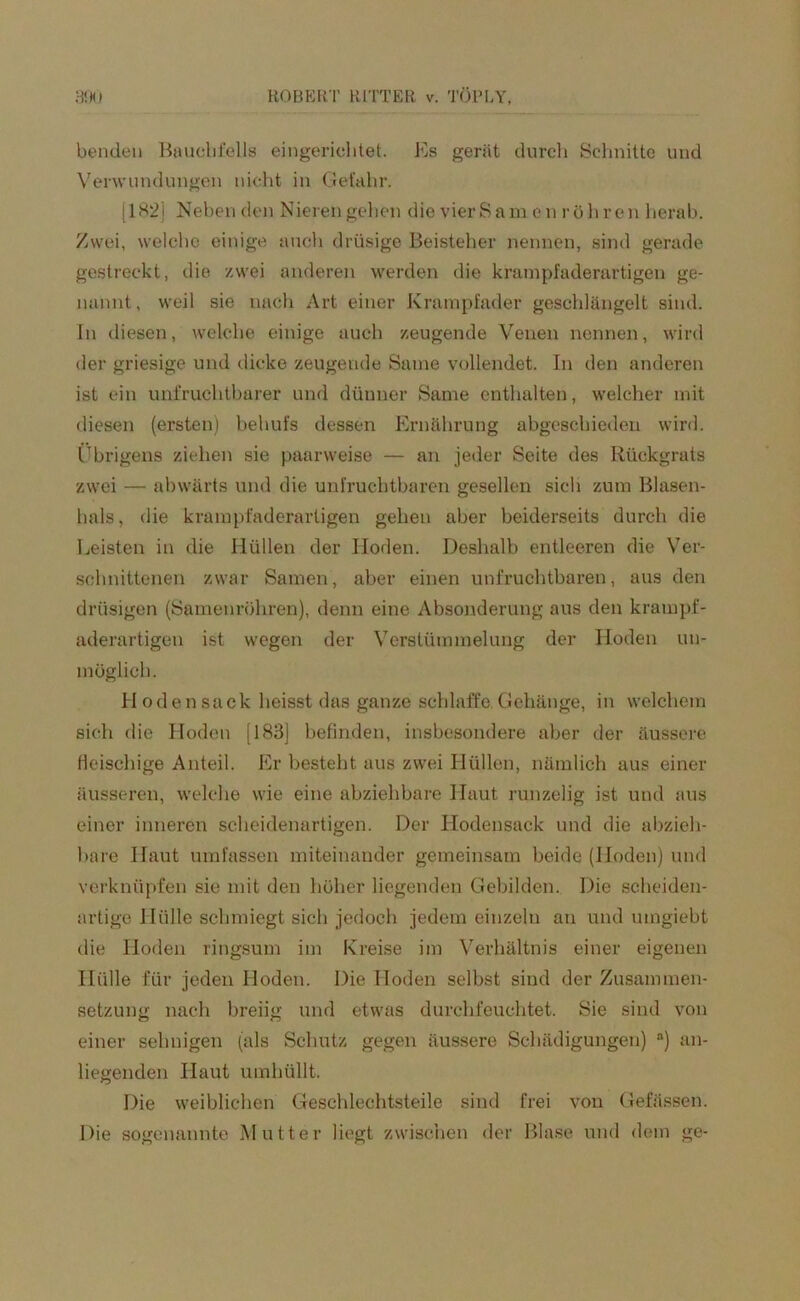 benden Bauchfells eingerichtet. Es gerät durch Schnitte und Verwundungen nicht in Gefahr. [182] Neben den Nieren gehen die vier Sam e n röh ren herab. Zwei, welche einige auch drüsige Beisteher nennen, sind gerade gestreckt, die zwei anderen werden die kratnpfaderartigen ge- nannt, weil sie nach Art einer Krampfader geschlängelt sind. Tn diesen, welche einige auch zeugende Venen nennen, wird der griesige und dicke zeugende Same vollendet. In den anderen ist ein unfruchtbarer und dünner Same enthalten, welcher mit diesen (ersten) behufs dessen Ernährung abgeschieden wird. Übrigens ziehen sie paarweise — an jeder Seite des Rückgrats zwei — abwärts und die unfruchtbaren gesellen sich zum Blasen- hals, die krampfaderartigen gehen aber beiderseits durch die Leisten in die Hüllen der Hoden. Deshalb entleeren die Ver- schnittenen zwar Samen, aber einen unfruchtbaren, aus den drüsigen (Samenröhren), denn eine Absonderung aus den krampf- aderartigen ist wegen der Verstümmelung der Hoden un- möglich. Hoden sack heisst das ganze schlaffe Gehänge, in welchem sich die Hoden [183] befinden, insbesondere aber der äussere fleischige Anteil. Er besteht aus zwei Hüllen, nämlich aus einer äusseren, welche wie eine abziehbare Haut runzelig ist und aus einer inneren scheidenartigen. Der Hodensack und die abzieh- bare Haut umfassen miteinander gemeinsam beide (Hoden) und verknüpfen sie mit den höher liegenden Gebilden. Die scheiden- artige Hülle schmiegt sich jedoch jedem einzeln an und umgiebt die Hoden ringsum im Kreise im Verhältnis einer eigenen Hülle für jeden Hoden. Die Hoden selbst sind der Zusammen- setzung nach breiig und etwas durchfeuchtet. Sie sind von einer sehnigen (als Schutz gegen äussere Schädigungen) a) an- liegenden Haut umhüllt. Die weiblichen Geschlechtsteile sind frei von Gefässen. Die sogenannte Mutter liegt zwischen der Blase und dem ge-