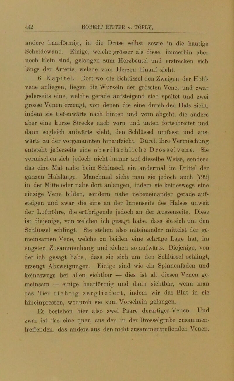 andere haarförmig, in die Drüse selbst sowie in die häutige Scheidewand. Einige, welche grösser als diese, immerhin aber noch klein sind, gelangen zum Herzbeutel und erstrecken sich längs der Arterie, welche vom Herzen hinauf zieht. 6. Kapitel. Dort wo die Schlüssel den Zweigen der Hohl- vene anliegen, liegen die Wurzeln der grössten Vene, und zwar jederseits eine, welche gerade aufsteigend sich spaltet und zwei grosse Venen erzeugt, von denen die eine durch den Hals zieht, indem sie tiefenwärts nach hinten und vorn abgeht, die andere aber eine kurze Strecke nach vorn und unten fortschreitet und dann sogleich aufwärts zieht, den Schlüssel umfasst und aus- wärts zu der vorgenannten hinaufzieht. Durch ihre Vermischung entsteht jederseits eine oberflächliche Drosselvene. Sie vermischen sich jedoch nicht immer auf dieselbe Weise, sondern das eine Mal nahe beim Schlüssel, ein andermal im Drittel der ganzen Halslänge. Manchmal sieht man sie jedoch auch [799] in der Mitte oder nahe dort anlangen, indem sie keineswegs eine einzige Vene bilden, sondern nahe nebeneinander gerade auf- steigen und zwar die eine an der Innenseite des Halses unweit der Luftröhre, die erübrigende jedoch an der Aussenseite. Diese ist diejenige, von welcher ich gesagt habe, dass sie sich um den Schlüssel schlingt. Sie stehen also miteinander mittelst der ge- meinsamen Vene, welche zu beiden eine schräge Lage hat, im engsten Zusammenhang und ziehen so aufwärts. Diejenige, von der ich gesagt habe, dass sie sich um den Schlüssel schlingt, erzeugt Abzweigungen. Einige sind wie ein Spinnenfaden und keineswegs bei allen sichtbar — dies ist all diesen Venen ge- meinsam — einige haarförmig und dann sichtbar, wenn man das Tier richtig zergliedert, indem wir das Blut in sie hineinpressen, wodurch sie zum Vorschein gelangen. Es bestehen hier also zwei Paare derartiger Venen. Und zwar ist das eine quer, aus den in der Drosselgrube zusammen- treffenden, das andere aus den nicht zusammentreffenden Venen.