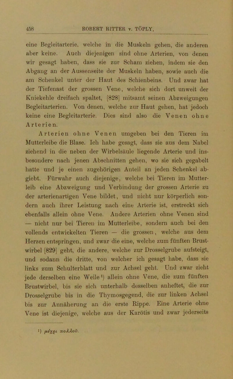 eine Begleitarterie, welche in die Muskeln gehen, die anderen aber keine. Auch diejenigen sind ohne Arterien, von denen wir gesagt haben, dass sie zur Scham ziehen, indem sie den Abgang an der Aussenseite der Muskeln haben, sowie auch die am Schenkel unter der Haut des Schienbeins. Und zwar hat der Tiefenast der grossen Vene, welche sich dort unweit der Kniekehle dreifach spaltet, [828] mitsamt seinen Abzweigungen Begleitarterien. Von denen, welche zur Haut gehen, hat jedoch keine eine Begleitarterie. Dies sind also die Venen ohne Arterien. Arterien ohne Venen umgeben bei den Tieren im Mutterleibe die Blase. Ich habe gesagt, dass sie aus dem Nabel ziehend in die neben der Wirbelsäule liegende Arterie und ins- besondere nach jenen Abschnitten gehen, wo sie sich gegabelt hatte und je einen zugehörigen Anteil an jeden Schenkel ab- giebt. Fürwahr auch diejenige, welche bei Tieren im Mutter- leib eine Abzweigung und Verbindung der grossen Arterie zu der arterienartigen Vene bildet, und nicht nur körperlich son- dern auch ihrer Leistung nach eine Arterie ist, erstreckt sich ebenfalls allein ohne Vene. Andere Arterien ohne Venen sind — nicht nur bei Tieren im Mutterleibe, sondern auch bei den vollends entwickelten Tieren — die grossen, welche aus dem Herzen entspringen, und zwar die eine, welche zum fünften Brust- wirbel [829] geht, die andere, welche zur Drosselgrube aufsteigt, und sodann die dritte, von welcher ich gesagt habe, dass sie links zum Schulterblatt und zur Achsel geht. Und zwar zieht jede derselben eine Weile1) allein ohne Vene, die zum fünften Brustwirbel, bis sie sich unterhalb desselben anheftet, die zur Drosselgrube bis in die Thymosgegend, die zur linken Achsel bis zur Annäherung an die erste Rippe. Eine Arterie ohne Vene ist diejenige, welche aus der Karötis und zwar jederseits >) noAAov.