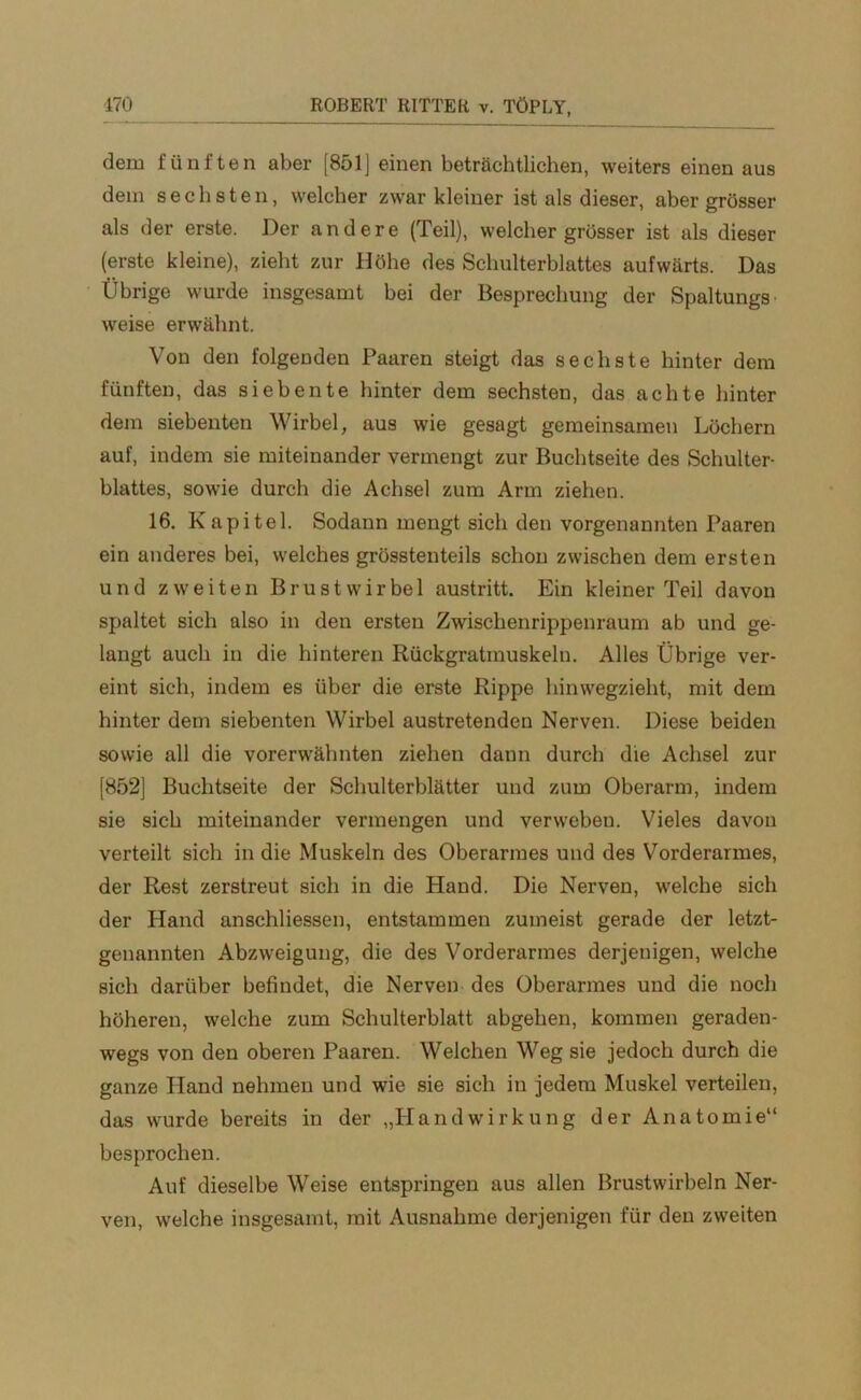 dem fünften aber [851] einen beträchtlichen, weiters einen aus dem sechsten, welcher zwar kleiner ist als dieser, aber grösser als der erste. Der andere (Teil), welcher grösser ist als dieser (erste kleine), zieht zur Höhe des Schulterblattes aufwärts. Das Übrige wurde insgesamt bei der Besprechung der Spaltungs weise erwähnt. Von den folgenden Paaren steigt das sechste hinter dem fünften, das siebente hinter dem sechsten, das achte hinter dem siebenten Wirbel, aus wie gesagt gemeinsamen Löchern auf, indem sie miteinander vermengt zur Buchtseite des Schulter- blattes, sowie durch die Achsel zum Arm ziehen. 16. Kapitel. Sodann mengt sich den vorgenannten Paaren ein anderes bei, welches grösstenteils schon zwischen dem ersten und zweiten Brustwirbel austritt. Ein kleiner Teil davon spaltet sich also in den ersten Zwischenrippenraum ab und ge- langt auch in die hinteren Rückgratmuskeln. Alles Übrige ver- eint sich, indem es über die erste Rippe hinwegzieht, mit dem hinter dem siebenten Wirbel austretenden Nerven. Diese beiden sowie all die vorerwähnten ziehen dann durch die Achsel zur [852] Buchtseite der Schulterblätter und zum Oberarm, indem sie sich miteinander vermengen und verweben. Vieles davon verteilt sich in die Muskeln des Oberarmes und des Vorderarmes, der Rest zerstreut sich in die Hand. Die Nerven, welche sich der Hand anschliessen, entstammen zumeist gerade der letzt- genannten Abzweigung, die des Vorderarmes derjenigen, welche sich darüber befindet, die Nerven des Oberarmes und die noch höheren, welche zum Schulterblatt abgehen, kommen geraden- wegs von den oberen Paaren. Welchen Weg sie jedoch durch die ganze Hand nehmen und wie sie sich in jedem Muskel verteilen, das wurde bereits in der „HandWirkung der Anatomie“ besprochen. Auf dieselbe Weise entspringen aus allen Brustwirbeln Ner- ven, welche insgesamt, mit Ausnahme derjenigen für den zweiten