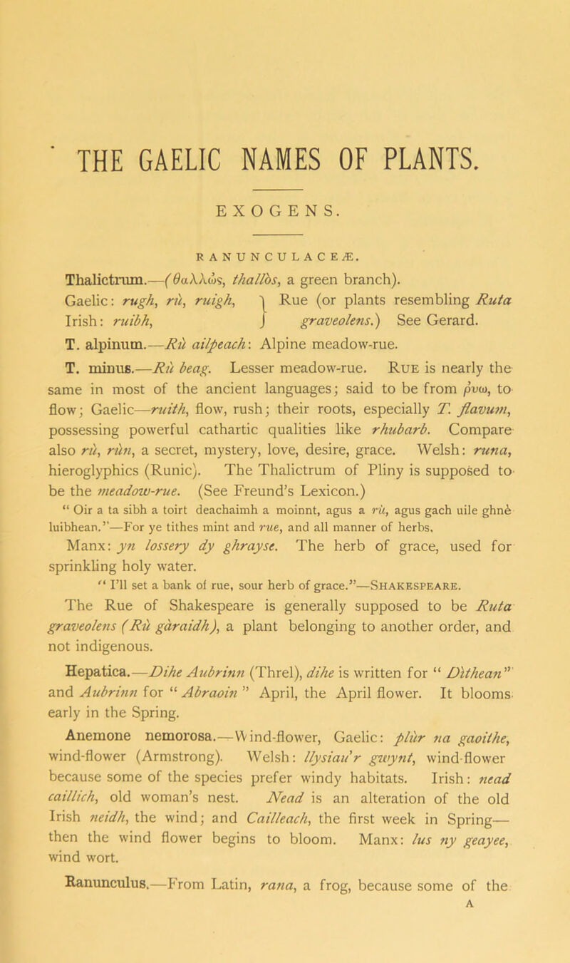 ■ THE GAELIC NAMES OF PLANTS. E X O G E N S. RANUNCULACE*. Thalictnun.—(OaXhm, tha/los, a green branch). Gaelic: rugh, ru, ruigh, T Rue (or plants resembling Rut a Irish: ruibh, J graveolens.) See Gerard. T. alpinum.—Rti ailpeacfr. Alpine meadow-rue. T. minus.—Ru beag. Lesser meadow-rue. Rue is nearly the same in most of the ancient languages; said to be from pv<o, to flow; Gaelic—ruith, flow, rush; their roots, especially T. flavum, possessing powerful cathartic qualities like rhubarb. Compare also ru, rim, a secret, mystery, love, desire, grace. Welsh: runa, hieroglyphics (Runic). The Thalictrum of Pliny is supposed to be the meadoiv-rue. (See Freund’s Lexicon.) “ Oir a ta sibh a toirt deachaimh a moinnt, agus a rii, agus gach uile ghne luibhean.”—For ye tithes mint and rue, and all manner of herbs, Manx: yn lossery dy ghrayse. The herb of grace, used for sprinkling holy water. “ I’ll set a bank oi rue, sour herb of grace.”—Shakespeare. The Rue of Shakespeare is generally supposed to be Rut a graveolens (Ru garaidh), a plant belonging to another order, and not indigenous. Hepatica.—Dihe Aubrinn (Threl), dihe is written for “ Dithean ” and Aubrinn for “ Abraoin ” April, the April flower. It blooms- early in the Spring. Anemone nemorosa.—Wind-flower, Gaelic: pliir tia gaoithe, wind-flower (Armstrong). Welsh: llysiau'r gwynt, windflower because some of the species prefer windy habitats. Irish: nead caillich, old woman’s nest. Nead is an alteration of the old Irish neidh, the wind; and Cailleach, the first week in Spring— then the wind flower begins to bloom. Manx: lus ny geayee, wind wort. Ranunculus.—From Latin, rana, a frog, because some of the A