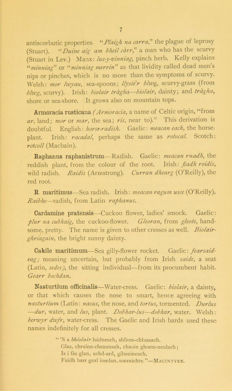 antiscorbutic properties. “R/aigh na carrap the plague of leprosy (Stuart). “Duine aig am bheil carr,” a man who has the scurvy (Stuart in Lev.) Manx: lus-y-vinniag, pinch herb. Kelly explains “ minniag” or 11 m in n tag vi erm n ’ ’ as that lividity called dead mens nips or pinches, which is no more than the symptoms of scurvy. Welsh: mor Iwyau, sea-spoons; llysie’r blwg, scurvy-grass (from blwg, scurvy). Irish: biolair tragha—bio/air, dainty; and tragha, shore or sea-shore. It grows also on mountain tops. Armoracia rusticana (Armoracia, a name of Celtic origin, “from ar, land; mor or mar, the sea; ris, near to).” This derivation is doubtful. English: horse-radish. Gaelic: meacan each, the horse- plant. Irish: racadal, perhaps the same as rotocal. Scotch: rotcoll (Macbain). Raphanus raphanistrum—Radish. Gaelic: meacan ruadh, the reddish plant, from the colour of the root. Irish: fiadh roidis, wild radish. Raidis (Armstrong). Curran dhearg (O’Reilly), the red root. R maritimus—Sea radish. Irish: meacan ragum usee (O’Reilly). Rail)he—radish, from Latin raphanus. Cardamine pratensis—Cuckoo flower, ladies’ smock. Gaelic: plur na cubhaig, the cuckoo-flower. Gleoran, from gleote, hand- some, pretty. The name is given to other cresses as well. Biolair- ghriagain, the bright sunny dainty. Cakile maritimum—Sea gilly-flower rocket. Gaelic: fearsaid- eag; meaning uncertain, but probably from Irish saide, a seat (Latin, sedes), the sitting individual—from its procumbent habit. Gearr bochdan. Nasturtium officinalis—Water-cress. Gaelic: biolair, a dainty,, or that which causes the nose to smart, hence agreeing with nasturtium (Latin: nasus, the nose, and tortus, tormented. Durlus —dur, water, and lus, plant. Dobhar-lus—dobhar, water. Welsh: berwyr dwfr, water-cress. The Gaelic and Irish bards used these names indefinitely for all cresses. “ ’S a bhiolair luidneach, shliom-chluasach. Glas, chruinn-cheannach, chaoin ghorm-neulach ; Is i fas glan, uchd-ard, gilmeineach, Fuidh barr geal iomlan, sonraichte.”—MacIntyre.