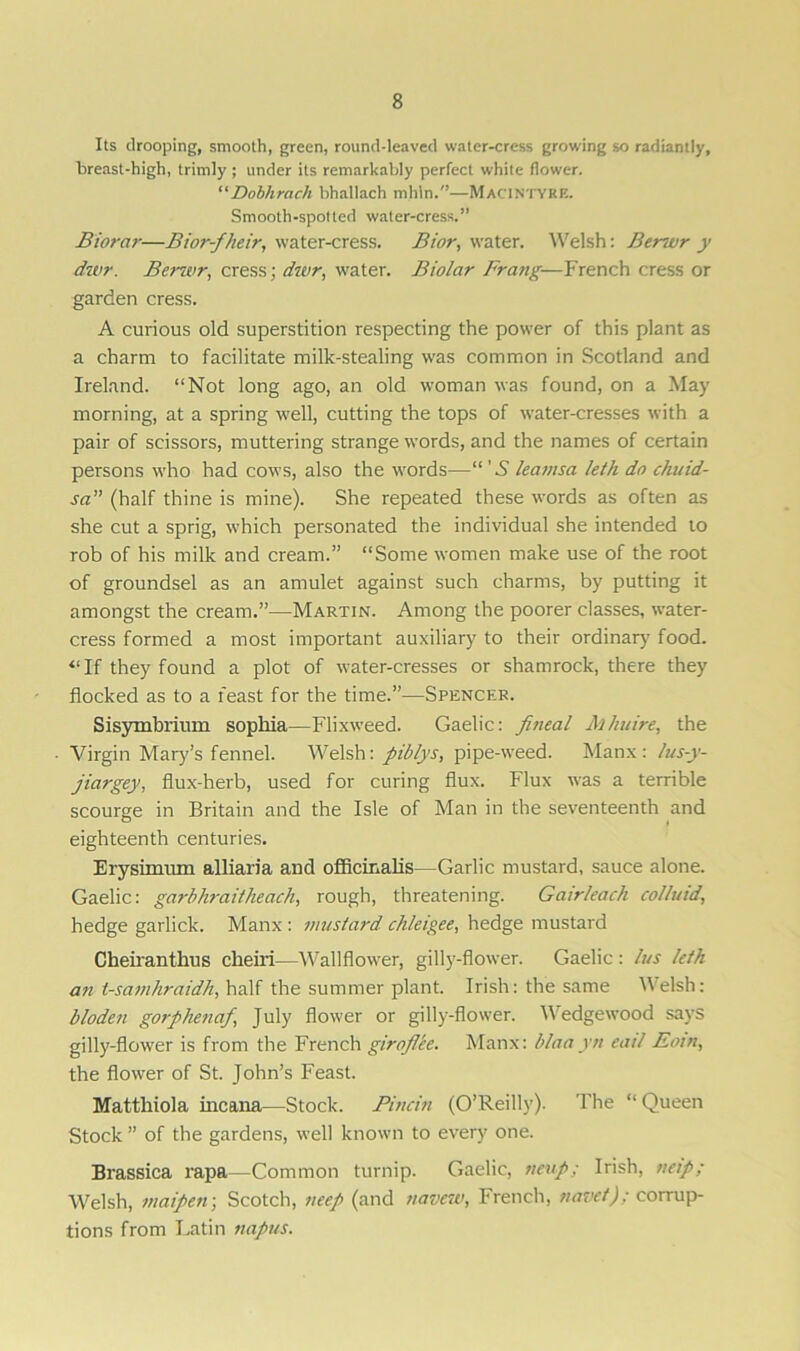 Its drooping, smooth, green, round-leaved water-cress growing so radiantly, breast-high, trimly ; under its remarkably perfect white flower. “Dobhrach bhallach mhln.—MACINTYRE. Smooth-spotted water-cress.” Biorar—Bior-fheir, water-cress. Bior, water. Welsh: Berwr y dwr. Berwr, cress; dwr, water. Biolar Frang—French cress or garden cress. A curious old superstition respecting the power of this plant as a charm to facilitate milk-stealing was common in Scotland and Ireland. “Not long ago, an old woman was found, on a May morning, at a spring well, cutting the tops of water-cresses with a pair of scissors, muttering strange words, and the names of certain persons who had cows, also the words—S leamsa leth do chuid- sa” (half thine is mine). She repeated these words as often as she cut a sprig, which personated the individual she intended to rob of his milk and cream.” “Some women make use of the root of groundsel as an amulet against such charms, by putting it amongst the cream.”—Martin. Among the poorer classes, water- cress formed a most important auxiliary to their ordinary food. “If they found a plot of water-cresses or shamrock, there they flocked as to a feast for the time.”—Spencer. Sisymbrium sopliia—Flixweed. Gaelic: fineal Mhuire, the Virgin Mary’s fennel. Welsh: piblys, pipe-weed. Manx: lus-y- jiargey, flux-herb, used for curing flux. Flux was a terrible scourge in Britain and the Isle of Man in the seventeenth and eighteenth centuries. Erysimum alliaria and officinalis—Garlic mustard, sauce alone. Gaelic: garbhraitheach, rough, threatening. Gairleach colluid, hedge garlick. Manx : mustard chleigee, hedge mustard Cheiranthus clieiri—Wallflower, gilly-flower. Gaelic : /us leth an t-samhraidh, half the summer plant. Irish: the same Welsh: bloden gorphenaf, July flower or gilly-flower. \\ edgewood says gilly-flower is from the French girojlee. Manx: blaayn eat/ Earn, the flower of St. John’s Feast. Matthiola incana—Stock. Piucin (O’Reilly). The “Queen Stock ” of the gardens, well known to every one. Brassica rapa—Common turnip. Gaelic, ueup; Irish, neip; Welsh, maipen; Scotch, veep (and navew, French, navet); corrup- tions from Latin tiapus.
