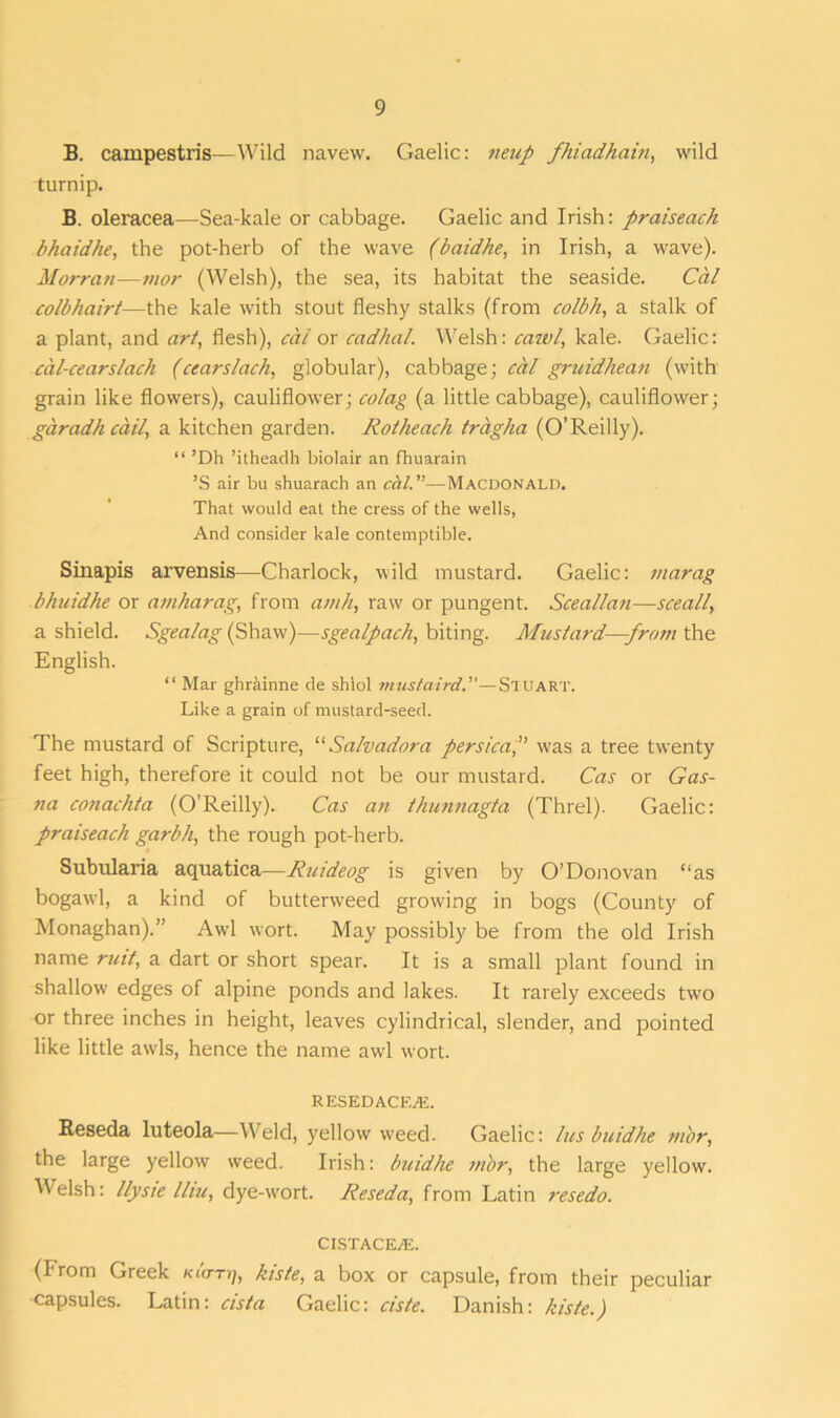 B. campestris—Wild navew. Gaelic: neup fhiadhain, wild turnip. B. oleracea—Sea-kale or cabbage. Gaelic and Irish: praiseach bhaidhe, the pot-herb of the wave (baidhe, in Irish, a wave). Morran—mor (Welsh), the sea, its habitat the seaside. Cal colbhairt—the kale with stout fleshy stalks (from colbh, a stalk of a plant, and art, flesh), cal or cadhal. Welsh: cawl, kale. Gaelic: cal-cearslach (ccarslack, globular), cabbage; cal gruidhean (with grain like flowers), cauliflower; colag (a little cabbage), cauliflower; garadh call, a kitchen garden. Rotheach tragha (O’Reilly). “ ’Dh ’itheadh biolair an fhuarain ’S air bu shuarach an cal. ”—Macdonald. That would eat the cress of the wells, And consider kale contemptible. Sinapis arvensis—Charlock, wild mustard. Gaelic: marag bhuidhe or amharag, from amh, raw or pungent. Sceallan—sceall, a shield. Sgealag (Shaw)—sgealpach, biting. Mustard—from the English. “ Mar ghr&inne de shlol mustaird.”—Stuart. Like a grain of mustard-seed. The mustard of Scripture, “Salvadora persica'f was a tree twenty feet high, therefore it could not be our mustard. Cas or Gas- na cotiachta (O’Reilly). Cas an thunnagta (Threl). Gaelic: praiseach garbh, the rough pot-herb. Subularia aquatica—Ruideog is given by O’Donovan “as bogawl, a kind of butterweed growing in bogs (County of Monaghan).” Awl wort. May possibly be from the old Irish name ruit, a dart or short spear. It is a small plant found in shallow edges of alpine ponds and lakes. It rarely exceeds two or three inches in height, leaves cylindrical, slender, and pointed like little awls, hence the name awl wort. RESEDACF,.®. Reseda luteola—Weld, yellow weed. Gaelic: Ins buidhe mor, the large yellow weed. Irish: buidhe mor, the large yellow. Welsh: llysie lliu, dye-wort. Reseda, from Latin resedo. CISTACE/E. (From Greek kGtt], kisle, a box or capsule, from their peculiar capsules. Latin: cist a Gaelic: ciste. Danish: kiste.)