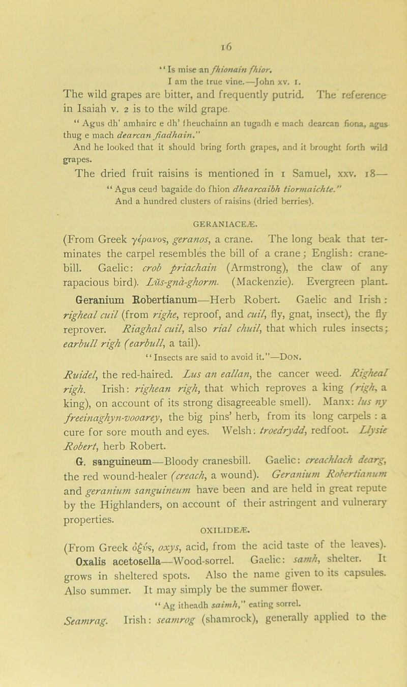 “ Is mise an fhionain fhior. I am the true vine.—John xv. I. The wild grapes are bitter, and frequently putrid. The reference in Isaiah v. 2 is to the wild grape. “ Agus dh' amhairc e dh’ (heuchainn an tugadh e mach dearcan fiona, agus thug e mach dearcan fiadhain. And he looked that it should bring forth grapes, and it brought forth wild grapes. The dried fruit raisins is mentioned in 1 Samuel, xxv. r8— “Agus ceud bagaide do fhion dhearcaibh tiormaichte. And a hundred clusters of raisins (dried berries). GERANIACE/E. (From Greek yepavos, geranos, a crane. The long beak that ter- minates the carpel resembles the bill of a crane; English: crane- bill. Gaelic: crob priachain (Armstrong), the claw of any rapacious bird). Lus-gna-ghorm. (Mackenzie). Evergreen plant. Geranium Kobertianum—Herb Robert. Gaelic and Irish : righeal cuil (from righe, reproof, and cnil, fly, gnat, insect), the fly reprover. Riaghal cuil, also rial chuil, that which rules insects; earbull righ (earbull, a tail). “ Insects are said to avoid it.”—Don. Ruidel, the red-haired. Lus an eallan, the cancer weed. Righeal righ. Irish: righean righ, that which reproves a king (righ, a king), on account of its strong disagreeable smell). Manx: lus ny freeinaghyn-vooarey, the big pins’ herb, from its long carpels : a cure for sore mouth and eyes. Welsh: troedrydd, redfoot. Llysie Robert, herb Robert. G. sanguineum—Bloody cranesbill. Gaelic: creachlach dearg, the red wound-healer (creach, a wound). Geranium Robertianum and geranium sanguineum have been and are held in great repute by the Highlanders, on account of their astringent and vulnerary properties. oxilidea:. (From Greek o£vs, oxys, acid, from the acid taste of the leaves). Oxalis acetosella—Wood-sorrel. Gaelic: samh, shelter. It grows in sheltered spots. Also the name given to its capsules. Also summer. It may simply be the summer flower. “ Ag itheadh saimh, eating sorrel. Seamrag. Irish: seamrog (shamrock), generally applied to the