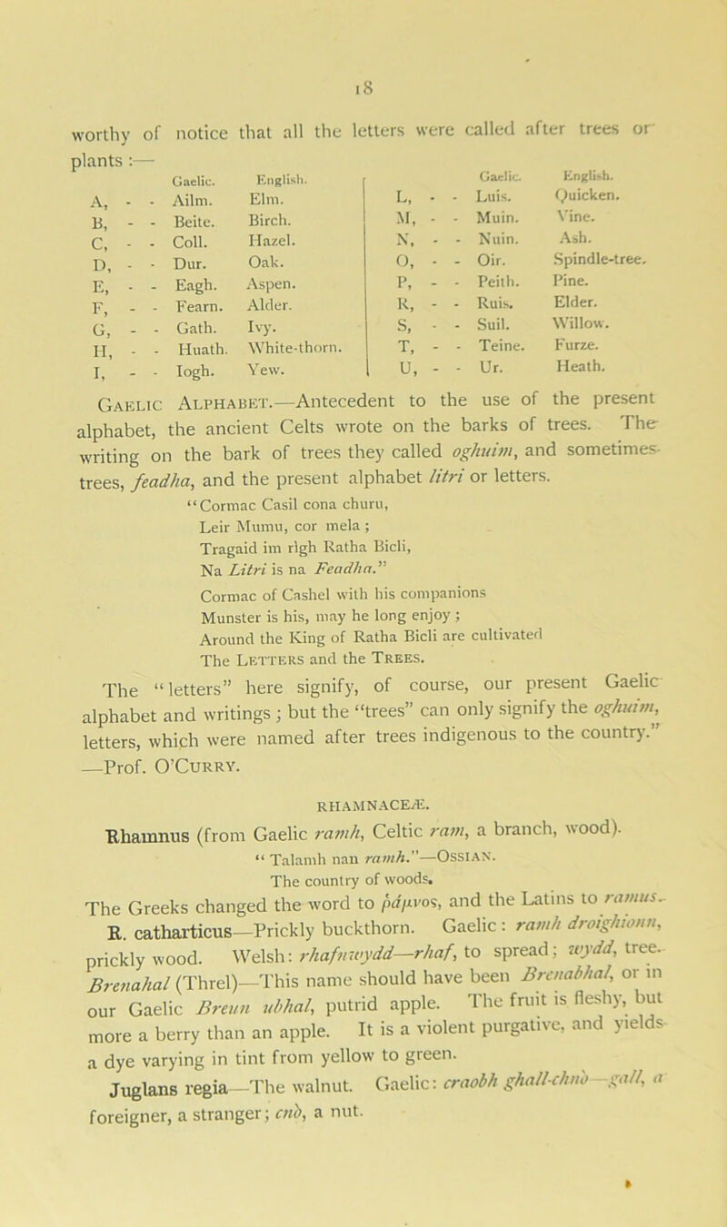 worthy of notice that all the letters were called after trees or plants :— A, - - Gaelic. Ailrn. English. Elm. L, • Gaelic. - Luis. English. Quicken. B, - - Beitc. Birch. M, - - Muin. Vine. C, - - Coll. Hazel. N, - - Nuin. Ash. D, - - Dur. Oak. 0, - - Oir. Spindle-tree. E, • - Eagh. Aspen. P, - - Peith. Pine. F, - - Fearn. Alder. R, - - Ruis. Elder. G, - - Gath. Ivy. S, - - Suil. Willow. H, - - Huath. White-thorn. T, - - Teine. Furze. I, - - Iogh. Yew. u, - - Ur. Heath. Gaelic Alphabet.—Antecedent to the use of the present alphabet, the ancient Celts wrote on the barks of trees. The- writing on the bark of trees they called oghuim, and sometimes trees, feadha, and the present alphabet litri or letters. “Cormac Casil cona churn, Leir Mumu, cor mela ; Tragaid im rlgh Ratha Bicli, Na Litri is na Feadhct.” Cormac of Cashel with his companions Munster is his, may he long enjoy ; Around the King of Ratha Bicli are cultivated The Letters and the Trees. The “letters” here signify, of course, our present Gaelic alphabet and writings ; but the “trees” can only signify the oghuhn, letters, which were named after trees indigenous to the country. —Prof. O’Curry. RHAMNACE/E. 'Rhamnus (from Gaelic ramh, Celtic ram, a branch, wood). “ Talanrh nan ramh.”—Ossian. The country of woods. The Greeks changed the word to pdpvos, and the Latins to ramus- R. catharticus—Prickly buckthorn. Gaelic : ramh droighionn, prickly wood. Welsh: rhafnwydd—rhaf, to spread; uydd, tree. Brenahal (Threl)—This name should have been Brenabhal, or in our Gaelic Breun ubhal, putrid apple. The fruit is fleshy, but more a berry than an apple. It is a violent purgative, and yields a dye varying in tint from yellow to green. Juglans regia -The walnut. Gaelic: craobh ghall-chnb gall, a foreigner, a stranger; Ctib, a nut.