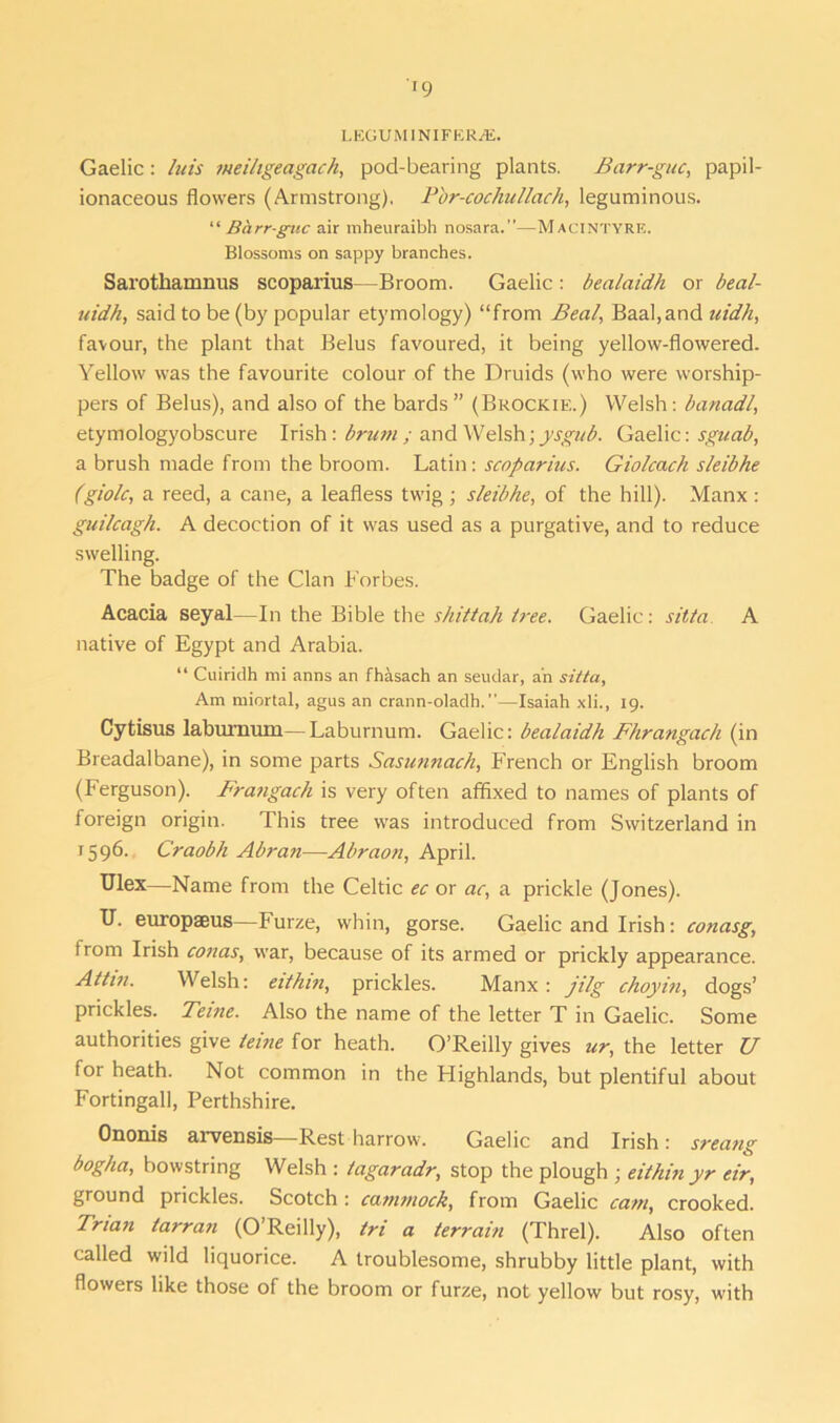 r9 LEGUMINIFER/E. Gaelic: luis meiligeagach, pod-bearing plants. Barr-guc, papil- ionaceous flowers (Armstrong), P'or-cochullach, leguminous. “ Bhrr-guc air mheuraibh nosara.”—Macintyre. Blossoms on sappy branches. Sarothamnus scoparius—Broom. Gaelic: bealaidh or beal- uidh, said to be (by popular etymology) “from Beal, Baal,and uidh, favour, the plant that Belus favoured, it being yellow-flowered. Yellow was the favourite colour of the Druids (who were worship- pers of Belus), and also of the bards” (Brockie.) Welsh: banadl, etymologyobscure Irish: brum ; and Welsh; ysgu b. Gaelic: sguab, a brush made from the broom. Latin: scoparius. Giolcach sleibhe (giolc, a reed, a cane, a leafless twig; sleibhe, of the hill). Manx : guilcagh. A decoction of it was used as a purgative, and to reduce swelling. The badge of the Clan Forbes. Acacia seyal—In the Bible the shittah tree. Gaelic: sitta A native of Egypt and Arabia. “ Cuiridh mi anns an fhasach an seudar, an sitta. Am miortal, agus an crann-oladh.—Isaiah xli., 19. Cytisus laburnum—Laburnum. Gaelic: bealaidh Fhrangach (in Breadalbane), in some parts Sasunnach, French or English broom (Ferguson). Frangach is very often affixed to names of plants of foreign origin. This tree was introduced from Switzerland in 1596. Craobh Abran—Abraon, April. Ulex—Name from the Celtic ec or ac, a prickle (Jones). U. europaeus—Furze, whin, gorse. Gaelic and Irish: conasg, from Irish conas, war, because of its armed or prickly appearance. Attin. Welsh: eithin, prickles. Manx: jilg choyin, dogs’ prickles. Teine. Also the name of the letter T in Gaelic. Some authorities give teine for heath. O’Reilly gives ur, the letter U for heath. Not common in the Highlands, but plentiful about Fortingall, Perthshire. Ononis arvensis—Rest harrow. Gaelic and Irish: sreang bogha, bowstring Welsh : tagaradr, stop the plough ; eithin yr eir, ground prickles. Scotch : cammock, from Gaelic cam, crooked. Tnan tarran (O’Reilly), tri a terrain (Threl). Also often called wild liquorice. A troublesome, shrubby little plant, with flowers like those of the broom or furze, not yellow but rosy, with
