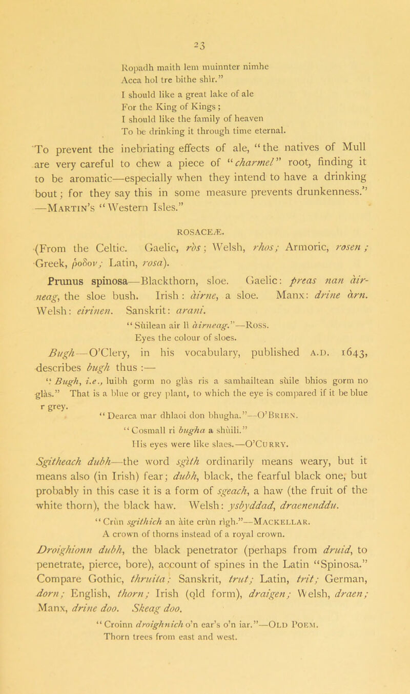 Ropadh maith lem muinnter nimhe Acca hoi tre bithe shir.” I should like a great lake of ale For the King of Kings ; I should like the family of heaven To he drinking it through time eternal. To prevent the inebriating effects of ale, “ the natives of Mull are very careful to chew a piece of “channel” root, finding it to be aromatic—especially when they intend to have a drinking bout; for they say this in some measure prevents drunkenness.5’ —Martin’s “Western Isles.” rosacea;. (From the Celtic. Gaelic, rbs; Welsh, rkos; Armoric, rosen ; Greek, poSov; Latin, rosa). Prunus spinosa—Blackthorn, sloe. Gaelic; preas nan air- neag, the sloe bush. Irish: airne, a sloe. Manx: drine am. Welsh: eirinen. Sanskrit: a rani. “ Siiilean air 11 airneag.—Ross. Eyes the colour of sloes. Bugh— O’Clery, in his vocabulary, published a.d. 1643, describes bugh thus :— “ Bugh, i.e., luibh gorm no glas ris a samhailtean sidle bhios gorm no glas.” That is a blue or grey plant, to which the eye is compared if it be blue r grey. “ Dearca mar dhlaoi don bhugha.”—O’Brien. “Cosmall ri bugha a shuili.” His eyes were like slaes.—O’Curry. Sgitheach ditbh—the word sg'ith ordinarily means weary, but it means also (in Irish) fear; dubh, black, the fearful black one, but probably in this case it is a form of sgeach, a haw (the fruit of the white thorn), the black haw. Welsh: ysbyddad, draenenddu. “ Critn sgithich an aite criin rlgh.”—Mackellar. A crown of thorns instead of a royal crown. Droighionn dubh, the black penetrator (perhaps from druid, to penetrate, pierce, bore), account of spines in the Latin “Spinosa.” Compare Gothic, thruila: Sanskrit, trut; Latin, trit; German, dorn; English, thorn; Irish (old form), draigen; Welsh, draen; Manx, drine doo. Skeag doo. “Croinn droighnich o’n ear’s o’n iar.”—Old Foem. Thorn trees from east and west.