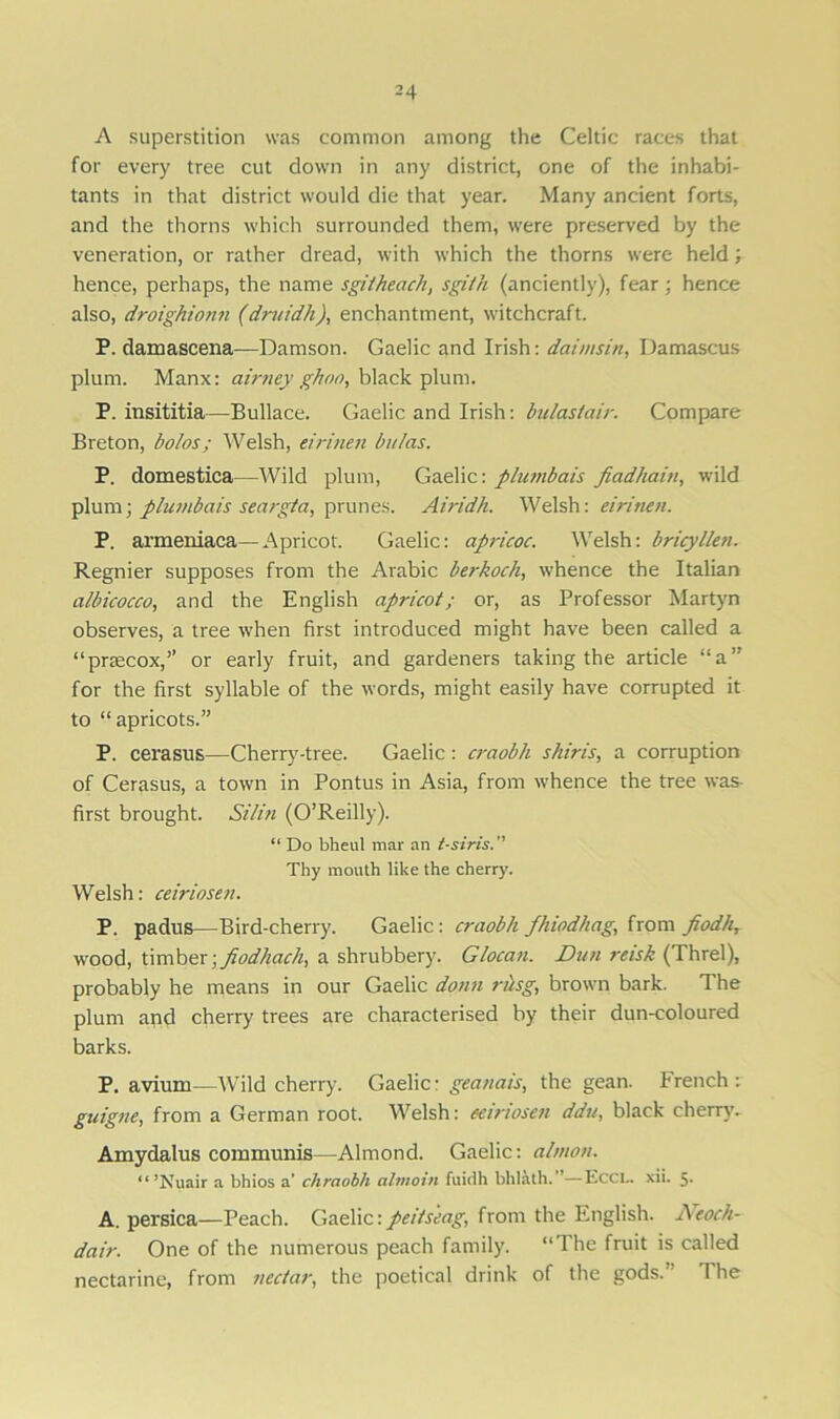 A superstition was common among the Celtic races that for every tree cut down in any district, one of the inhabi- tants in that district would die that year. Many ancient forts, and the thorns which surrounded them, were preserved by the veneration, or rather dread, with which the thorns were held; hence, perhaps, the name sgitheach, sgi/h (anciently), fear; hence also, droighionn (druidh), enchantment, witchcraft. P. damascena—Damson. Gaelic and Irish: daimsin, Damascus plum. Manx: airney ghno, black plum. P. insititia—Bullace. Gaelic and Irish: bulastair. Compare Breton, bolos; Welsh, eirinen bulas. P. domestica—Wild plum, Gaelic: plumbais fiadhain, wild plum; plumbais seargta, prunes. Airidh. Welsh: eirinen. P. armeniaca—Apricot. Gaelic: apricoc. Welsh: bricyllen. Regnier supposes from the Arabic berkoch, whence the Italian aibicocco, and the English apricot; or, as Professor Martyn observes, a tree when first introduced might have been called a “prsecox,” or early fruit, and gardeners taking the article “a” for the first syllable of the words, might easily have corrupted it to “ apricots.” P. cerasus—Cherry-tree. Gaelic : craobh shiris, a corruption of Cerasus, a town in Pontus in Asia, from whence the tree was first brought. St bin (O’Reilly). “ Do bheul mar an t-siris. Thy mouth like the cherry. Welsh: ceiriosen. P. padus—Bird-cherry. Gaelic: craobh fhiodhag, from piodh, wood, timber; fiodhach, a shrubbery. Glocan. Dun reisk (Threl), probably he means in our Gaelic donn riisg, brown bark. The plum and cherry trees are characterised by their dun-coloured barks. P. avium—Wild cherry. Gaelic- geanais, the gean. French: guigne, from a German root. Welsh: eeiriosen ddu, black cherry. Amydalus communis—Almond. Gaelic: almon. “ ’Nuair a bhios a’ chraobh almoin fuidh bhlath. ’—Eccl. xii. 5- A. persica—Peach. Gaelic:peiiseag, from the English. Neoch- dair. One of the numerous peach family. “The fruit is called nectarine, from nectar, the poetical drink of the gods. T he