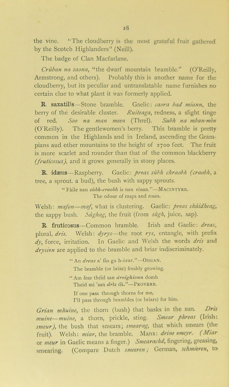 38 the vine. “The cloudberry is the most grateful fruit gathered by the Scotch Highlanders” (Neill). The badge of Clan Macfarlane. Critban na saona, “the dwarf mountain bramble.” (O’Reilly, Armstrong, and others). Probably this is another name for the cloudberry, but its peculiar and untranslatable name furnishes no certain clue to what plant it was formerly applied. R. saxatilis—Stone bramble. Gaelic: caora bad miann, the berry of the desirable cluster. Ruileaga, redness, a slight tinge of red. Soo na man meen (Threl). Subh na mban-m'in (O’Reilly). The gentlewomen’s berry. This bramble is pretty common in the Highlands and in Ireland, ascending the Gram- pians aud other mountains to the height of 2700 feet. The fruit is more scarlet and rounder than that of the common blackberry’ (fruticosus), and it grows generally in stony places. R. idseus—Raspberry. Gaelic: preas st'ibh chraobh (craobh, a tree, a sprout, a bud), the bush with sappy sprouts. “ Faile nan subh-craobh is nan rosan.’’—MacIntyre. The odour of rasps and roses. Welsh: mafon—map, what is clustering. Gaelic: preas skuidheagr the sappy bush. Sughag, the fruit (from silgh, juice, sap). R. fruticosus—Common bramble. Irish and Gaelic: dreas, plural, dris. Welsh: dyrys—the root rys, entangle, with prefix dy, force, irritation. In Gaelic and Welsh the words dris and drysien are applied to the bramble and briar indiscriminately. “An dreas a’ fas gu h-urar.”—Ossian. The bramble (or briar) freshly growing. “Am fear theid san droighionn domh Theid mi ’san dris dL”—Proverb. If one pass through thorns for me, I’ll pass through brambles (or briars) for him. Grian mhuine, the thorn (bush) that basks in the sun. Dris muine—muine, a thorn, prickle, sting. Smear phreas (Irish: smear), the bush that smears; smearag, that which smears (the fruit). Welsh: miar, the bramble. Manx: drine smeyr. (Miar or meur in Gaelic means a finger.) Smcarachd, fingering, greasing, smearing. (Compare Dutch smeeren; German, schmieren, to