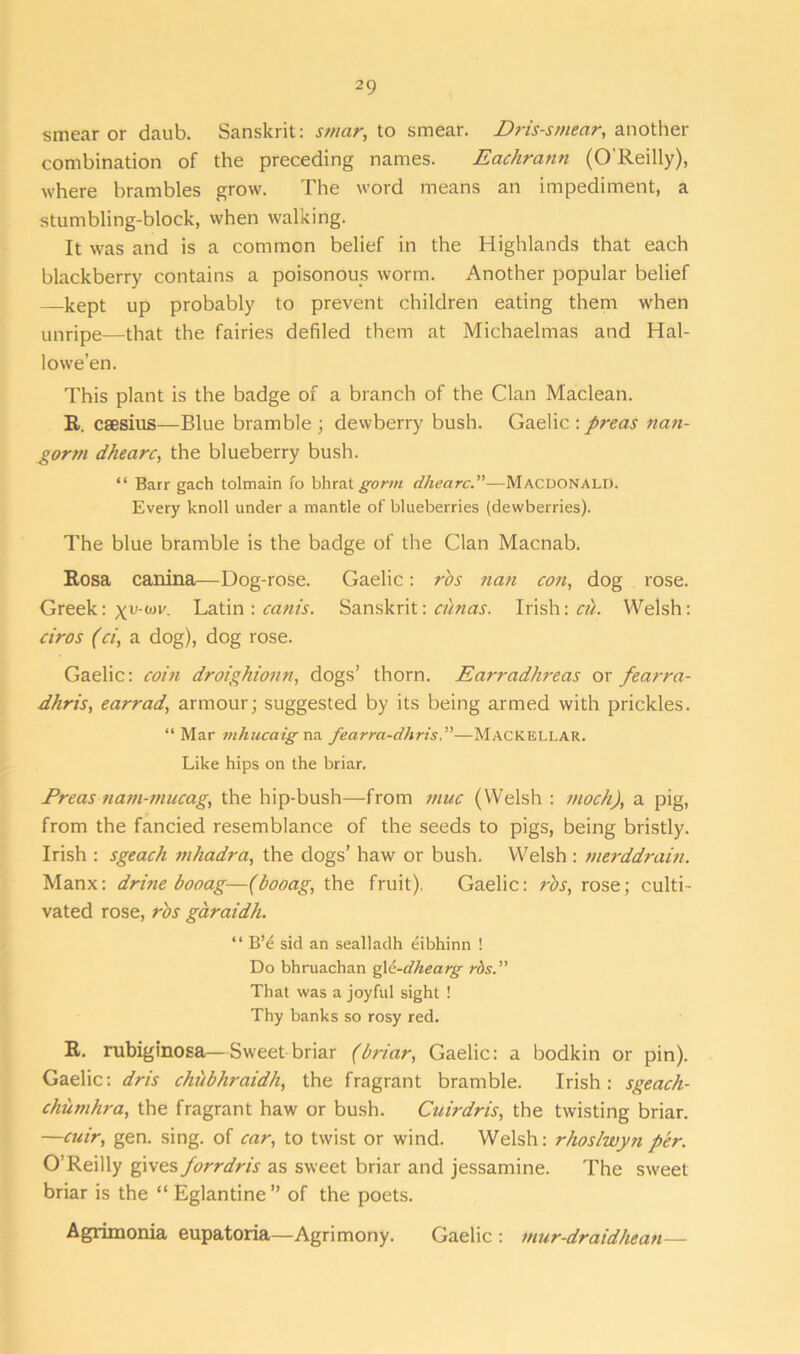 smear or daub. Sanskrit: smar, to smear. Dris-smear, another combination of the preceding names. Eachrann (O'Reilly), where brambles grow. The word means an impediment, a stumbling-block, when walking. It was and is a common belief in the Highlands that each blackberry contains a poisonous worm. Another popular belief —kept up probably to prevent children eating them when unripe—that the fairies defiled them at Michaelmas and Hal- lowe’en. This plant is the badge of a branch of the Clan Maclean. R. csesius—Blue bramble; dewberry bush. Gaelic:preas nan- gorm dhearc, the blueberry bush. “ Barr gach tolmain fo bhrat gorm dhearc.”—Macdonald. Every knoll under a mantle of blueberries (dewberries). The blue bramble is the badge of the Clan Macnab. Rosa canina—Dog-rose. Gaelic: r'os nan con, dog rose. Greek: Latin : cam's. Sanskrit: cimas. Irish: a). Welsh: ciros (ci, a dog), dog rose. Gaelic: coin droighionn, dogs’ thorn. Earradhreas or fearra- dhris, earrad, armour; suggested by its being armed with prickles. “Mar mhucaig na fearra-dhris,”—Mackellar. Like hips on the briar. Preas nam-mitcag, the hip-bush—from muc (Welsh : inoch), a pig, from the fancied resemblance of the seeds to pigs, being bristly. Irish : sgeach mhadra, the dogs’ haw or bush. Welsh : merddrain. Manx: drine booag—(booag, the fruit), Gaelic: rbs, rose; culti- vated rose, rbs garaidh. “ B’e sid an sealladh eibhinn ! Do bhruachan gla-dhearg rbs.” That was a joyful sight ! Thy banks so rosy red. R. rubiginosa—Sweet briar (briar, Gaelic: a bodkin or pin). Gaelic: dr is chubhraidh, the fragrant bramble. Irish: sgeach- chujnhra, the fragrant haw or bush. Cuirdris, the twisting briar. —cuir, gen. sing, of car, to twist or wind. Welsh: rhoslwyn per. O’Reilly givesporrdris as sweet briar and jessamine. The sweet briar is the “ Eglantine ” of the poets. Agrimonia eupatoria—Agrimony. Gaelic : mur-draidhean—