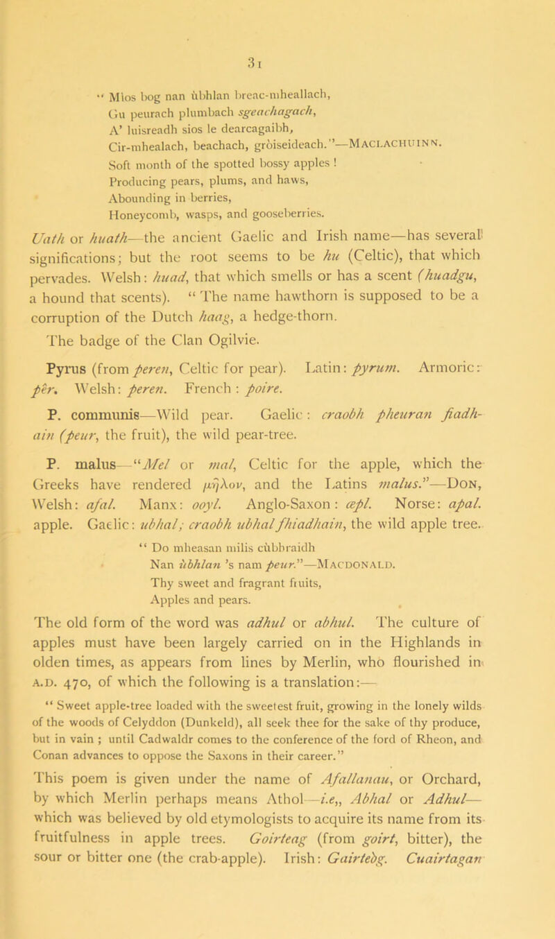 3 •< Mlos bog nan iibhlan breac-mheallach, Gn peurach plunibach sgeachagach, A’ luisreadh sios le dearcagaibh, Cir-mhealach, beachach, grbiseideach.”—Maci.achuinn. Soft month of the spotted bossy apples ! Producing pears, plums, and haws, Abounding in berries, Honeycomb, wasps, and gooseberries. Uath or huath—the ancient Gaelic and Irish name—has several: significations; but the root seems to be hu (Celtic), that which pervades. Welsh: huad, that which smells or has a scent (huadgu, a hound that scents). “ The name hawthorn is supposed to be a corruption of the Dutch hang, a hedge-thorn. The badge of the Clan Ogilvie. Pyrus (from peren, Celtic for pear). Latin: pyrum. Armoric: per. Welsh: peren. French: poire. P. communis—Wild pear. Gaelic: craobh pheuran fiadh- ain (peur, the fruit), the wild pear-tree. P. malus—“Mel or mal, Celtic for the apple, which the Greeks have rendered prjXov, and the Latins malus.”—Don, Welsh: afal. Manx: ooyl. Anglo-Saxon: czpl. Norse: apal. apple. Gaelic: ubhal; craobh ubhal'fhiadhain, the wild apple tree. “ Do mheasan iliilis cfibbraidh Nan iibhlan’s nam peur.—Macdonald. Thy sweet and fragrant fiuits, Apples and pears. The old form of the word was adhul or abhul. The culture of apples must have been largely carried on in the Highlands in olden times, as appears from lines by Merlin, who flourished in a.d. 470, of which the following is a translation:— “ Sweet apple-tree loaded with the sweetest fruit, growing in the lonely wilds of the woods of Celyddon (Dunkeld), all seek thee for the sake of thy produce, but in vain ; until Cadwaldr comes to the conference of the ford of Rheon, and Conan advances to oppose the Saxons in their career.” This poem is given under the name of Afallanau, or Orchard, by which Merlin perhaps means Athol—i.e„ Abhal or Adhul— which was believed by old etymologists to acquire its name from its fruitfulness in apple trees. Goirleag (from goirt, bitter), the sour or bitter one (the crab-apple). Irish: Gairtebg. Cuairtagan