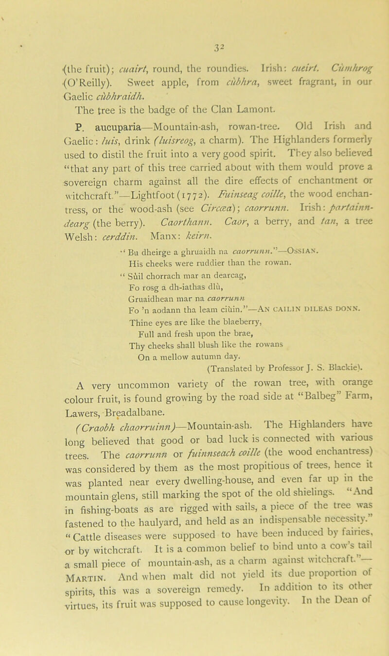 {the fruit); cuairt, round, the roundies. Irish: cueirt. Cunthrog (O’Reilly). Sweet apple, from ciibhra, sweet fragrant, in our Gaelic cubhraidh. The tree is the badge of the Clan Lamont. P. aucuparia—Mountain-ash, rowan-tree. Old Irish and Gaelic: luis, drink (luisreog, a charm). The Highlanders formerly- used to distil the fruit into a very good spirit. They also believed “that any part of this tree carried about with them would prove a sovereign charm against all the dire effects of enchantment or witchcraft.”-—Lightfoot(i772). Fuinseag coille, the wood enchan- tress, or the wood-ash (see Circaa); caorrunn. Irish: partainn- dearg (the berry). Caorthann. Caor, a berry, and tan, a tree Welsh: cerddin. Manx: keirn. Bu dheirge a ghruaidh na caorrunn.”—Ossiax. His cheeks were ruddier than the rowan. “ Suil chorrach mar an dearcag, Fo rosg a dh-iathas dlu, Gruaidhean mar na caorrunn Fo ’n aodann tha leam ciiiin.”—An cailin dileas donn. Thine eyes are like the blaeberry, Full and fresh upon the brae, Thy cheeks shall blush like the rowans On a mellow autumn day. (Translated by Professor J. S. Blackie). A very uncommon variety of the rowan tree, with orange colour fruit, is found growing by the road side at “Balbeg Farm, Lawers, Breadalbane. (Craobh chaorrumn)—Mountain-ash. The Highlanders have long believed that good or bad luck is connected with various trees. The caorrunn or futnnseach coille (the wood enchantress) was considered by them as the most propitious of trees, hence it was planted near every dwelling-house, and even far up in the mountain glens, still marking the spot of the old shielings. “And in fishing-boats as are rigged with sails, a piece of the tree was fastened to the haulyard, and held as an indispensable necessity. « Cattle diseases were supposed to have been induced by fairies, or by witchcraft. It is a common belief to bind unto a cow’s tail a small piece of mountain-ash, as a charm against witchcraft. Martin. And when malt did not yield its due proportion of spirits, this was a sovereign remedy. In addition to its other virtues, its fruit was supposed to cause longevity. In the Dean of