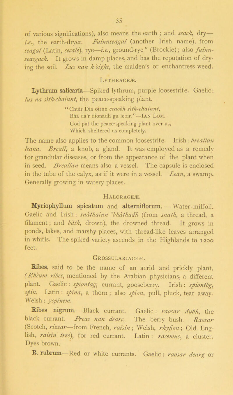 of various significations), also means the earth ; and seach, dry— i.e., the earth-dryer. Fuinnseagal (another Irish name), from seagal (Latin, seca/e), rye—i.e., ground-rye” (Brockie); also fuinn- seasgach. It grows in damp places, and has the reputation of dry- ing the soil. Lies nan h-'oighe, the maiden’s or enchantress weed. Lythrace^e. Lythrum salicaria—Spiked lythrum, purple loosestrife. Gaelic: /ns na slth-chainnt, the peace-speaking plant. “Chuir Dia oirnn craobh slth-chainnt, Bha da'r dionadh gu leoir. ”—Ian Lom. God put the peace-speaking plant over us, Which sheltered us completely. The name also applies to the common loosestrife. Irish: breallan leana. Brea/l, a knob, a gland. It was employed as a remedy for grandular diseases, or from the appearance of the plant when in seed. Breallan means also a vessel. The capsule is enclosed in the tube of the calyx, as if it were in a vessel. Lean, a swamp. Generally growing in watery places. Halorage^e. Myriophyllum spicatum and altemiflorum. — Water-milfoil. Gaelic and Irish: snathainn 'bhathadh (from snath, a thread, a filament; and bath, drown), the drowned thread. It grows in ponds, lakes, and marshy places, with thread-like leaves arranged in whirls. The spiked variety ascends in the Highlands to 1200 feet. Grossulariace^:. Ribes, said to be the name of an acrid and prickly plant. (Rheum ribes, mentioned by the Arabian physicians, a different plant. Gaelic : spiontag, currant, gooseberry. Irish : spiontbg, spin. Latin : spina, a thorn • also spion, pull, pluck, tear away. Welsh: yspinem. Ribes nigrum.—Black currant. Gaelic: raosar dubh, the black currant. Preas nan dearc. The berry bush. Raosar (Scotch, rizzar—from French, raisin ; Welsh, rhyfion; Old Eng- lish, raisin tree), for red currant. Latin : racemus, a cluster. Dyes brown. R. rubrum—Red or white currants. Gaelic: raosar dearg or