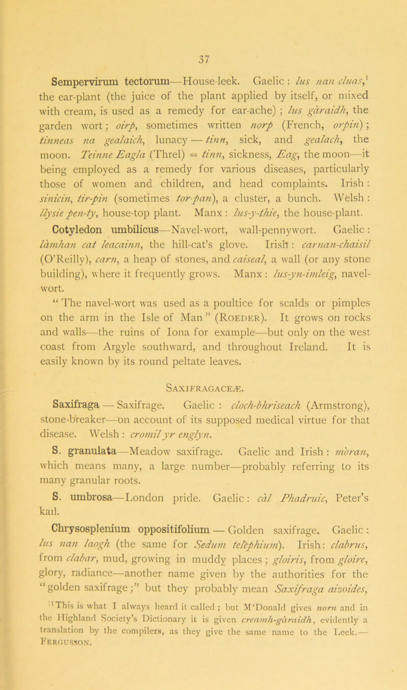 Sempervirum tectomm—House-leek. Gaelic : lus nan cluas,* the ear-plant (the juice of the plant applied by itself, or mixed with cream, is used as a remedy for ear-ache); lus gdraidh, the garden wort; oirp, sometimes written norp (French, orpin); tinneas na gealaich, lunacy — linn, sick, and gealach, the moon. Teinne Eagla (Threl) = linn, sickness, Eag, the moon—it being employed as a remedy for various diseases, particularly those of women and children, and head complaints. Irish: sinicin, tir-pin (sometimes tor-pan), a cluster, a bunch. Welsh : llysiepen-ty, house-top plant. Manx: lus-y-thie, the house-plant. Cotyledon umbilicus—Navel-wort, wall-pennywort. Gaelic : lamhan cat leacainn, the hill-cat’s glove. Irish : carnan-chaisil (O’Reilly), cam, a heap of stones, and caiseal, a wall (or any stone building), where it frequently grows. Manx : lus-yn-imleig, navel- wort. “ The navel-wort was used as a poultice for scalds or pimples on the arm in the Isle of Man ” (Roeder). It grows on rocks and walls—the ruins of Iona for example—but only on the west coast from Argyle southward, and throughout Ireland. It is easily known by its round peltate leaves. Saxifragace/E. Saxifraga — Saxifrage. Gaelic: cloch-bhriseach (Armstrong), stone-breaker—on account of its supposed medical virtue for that disease. Welsh : crornilyr englyn. S. granulata—Meadow' saxifrage. Gaelic and Irish : nibran, which means many, a large number—probably referring to its many granular roots. S. umbrosa—London pride. Gaelic: cal Phadruic, Peter’s kail. Chrysospleniutn oppositifolium — Golden saxifrage. Gaelic: lus nan laogh (the same for Sedum telephium). Irish: clabrus, from clabar, mud, growing in muddy places; gloiris, from gloire, glory, radiance—another name given by the authorities for the “ golden saxifragebut they probably mean Saxifraga aizoides, 'This is what I always heard it called; but M’Donald gives norti and in the Highland Society’s Dictionary it is given creamh-ghraidh, evidently a translation by the compilers, as they give the same name to the Leek.— Fergusson.