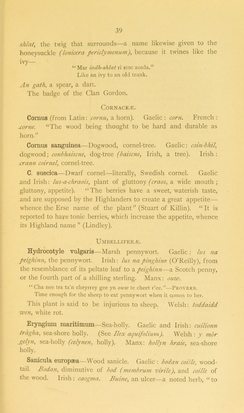 _shlat, the twig that surrounds—a name likewise given to the honeysuckle (lonicera periclymenum), because it twines like the ivy— “ Mar icidh-shlat ri stoc aosda.” Like an ivy to an old trunk. An gath, a spear, a dart. The badge of the Clan Gordon. Cornace^e. Comns (from Latin: cornu, a horn). Gaelic : corn. French : .come. “The wood being thought to be hard and durable as horn.” Comus sanguinea—Dogwood, cornel-tree. Gaelic: coin-bhil, dogwood; conbhaiscne, dog-tree (baiscne, Irish, a tree). Irish: crann coirnel, cornel-tree. C. suecica—Dwarf cornel—literally, Swedish cornel. Gaelic and Irish: lus-a-chraois, plant of gluttony (craos, a wide mouth; gluttony, appetite). “The berries have a sweet, waterish taste, and are supposed by the Highlanders to create a great appetite— whence the Erse name of the plant” (Stuart of Killin). “It is reported to haye tonic berries, which increase the appetite, whence its Highland name ” (Lindley). UmBELLIFERjE. Hydrocotyle vulgaris—Marsh pennywort. Gaelic: h/s na peighimi, the pennywort. Irish: las napinghine (O’Reilly), from the resemblance of its peltate leaf to a peighinn—a Scotch penny, or the fourth part of a shilling sterling. Manx: ouw. “ Cha nee tra ta’n cheyrrey gee yn ouw te cheet r’ee.”—Proverb. Time enough for the sheep to eat pennywort when it comes to her. This plant is said to be injurious to sheep. Welsh: toddaidd wen, white rot. Eryngium maritimmn—Sea-holly. Gaelic and Irish: cuilionn Iragha, sea-shore holly. (See Ilex aquifolium). Welsh: y mar gelyti, sea-holly (celynen, holly). Manx: hollyn hraie, sea-shore holly. Sanicula europsea—Wood sanicle. Gaelic : bodan coi/le, wood- tail. Bodan, diminutive of bod ( membrum virile), and coillc of the wood. Irish : caogtna. Buine, an ulcer—a noted herb, “ to