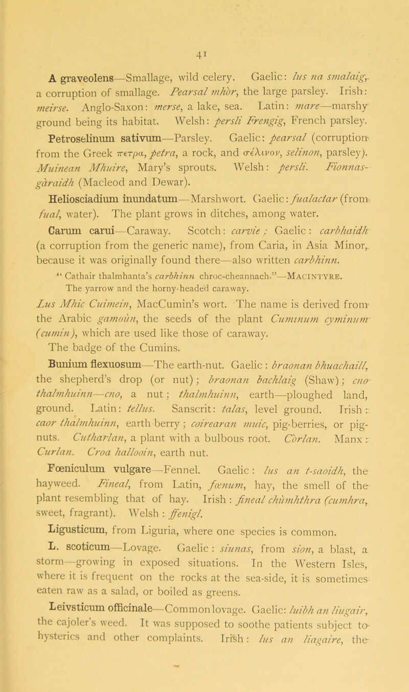 A graveolens—Smallage, wild celery. Gaelic: lus na smalaigr a corruption of smallage. Pearsal nihbr, the large parsley. Irish: meirse. Anglo-Saxon: merse, a lake, sea. Gatin: mare—marshy ground being its habitat. Welsh: persli Frengig, French parsley. Petroselinmn sativum—Parsley. Gaelic: pearsal (corruption from the Greek irerpa, petra, a rock, and a-i\ivov, selinon, parsley). Muinean Mhuire, Mary’s sprouts. Welsh: persli. Fionnas- garaidh (Macleod and Dewar). Heliosciadium inundatum—Marsh wort. Gaelic: fualadar (from fual, water). The plant grows in ditches, among water. Carum carui—Caraway. Scotch: carvie : Gaelic : carbhaidhr (a corruption from the generic name), from Caria, in Asia Minor, because it was originally found there—also written carbhinn. “ Catbair thalmhanta’s carbhinn chroc-cheannach.”—Macintyre. The yarrow and the horny-headed caraway. Lus Mhic Cuimein, MacCumin’s wort. The name is derived from- the Arabic gamoitn, the seeds of the plant Cuminum cyminunt (cumin), which are used like those of caraway. The badge of the Cumins. Bmiiiun flexuosum—The earth-nut. Gaelic : braonan bhuachai/l, the shepherd’s drop (or nut); braonan bachlaig (Shaw); cno thalmhuinn—cno, a nut; thalmhuinn, earth—ploughed land, ground. Latin: tellies. Sanscrit: talas, level ground. Irish r caor thalmhuinn, earth berry; coirearan untie, pig-berries, or pig- nuts. Cutharlan, a plant with a bulbous root. C'orlan. Manx : Cur/an. Croa hallooin, earth nut. Foeniculmn vulgare -Fennel. Gaelic : lus an t-saoidh, the hayweed. Fineal, from Latin, fan mm, hay, the smell of the plant resembling that of hay. Irish : fineal ckinnhthra (cumhra, sweet, fragrant). Welsh : ffenigl. Ligusticum, from Liguria, where one species is common. L. scoticum—Lovage. Gaelic : siunas, from sion, a blast, a storm—growing in exposed situations. In the Western Isles, where it is frequent on the rocks at the sea-side, it is sometimes eaten raw as a salad, or boiled as greens. Leivsticum officinale—Common lovage. Gaelic: luibh an liugair, the cajoler s weed. It was supposed to soothe patients subject to- hysterics and other complaints. Irish: lus an liagaire, the
