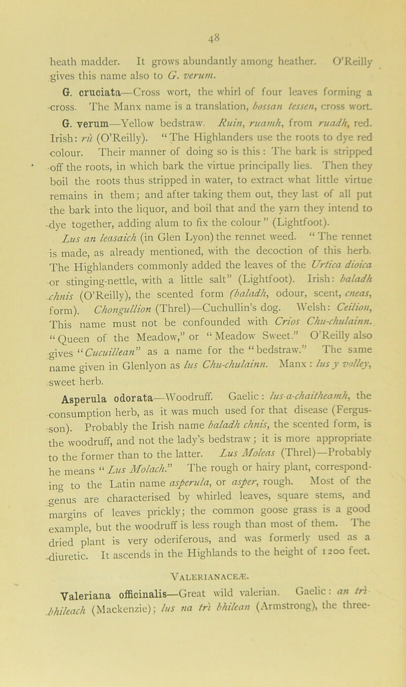 heath madder. It grows abundantly among heather. O’Reilly gives this name also to G. verum. G. cruciata—Cross wort, the whirl of four leaves forming a -cross. The Manx name is a translation, bossan tessen, cross wort. G. verum—Yellow bedstraw. Ruin, ruamh, from ruadh, red. Irish: ril (O’Reilly). “The Highlanders use the roots to dye red colour. Their manner of doing so is this : The bark is stripped off the roots, in which bark the virtue principally lies. Then they boil the roots thus stripped in water, to extract what little virtue remains in them; and after taking them out, they last of all put the bark into the liquor, and boil that and the yarn they intend to • dye together, adding alum to fix the colour (Lightfoot). Lus an leasaich (in Glen Lyon) the rennet weed. “ The rennet is made, as already mentioned, with the decoction of this herb. The Highlanders commonly added the leaves of the Urtica dioica or stinging-nettle, with a little salt” (Lightfoot). Irish: baladh c/mis (O’Reilly), the scented form (baladh, odour, scent, cneas, form). Chongullion (Threl)—Cuchullin’s dog. Welsh: Ceilion, This name must not be confounded with Crios Ckurchulainn. “ Queen of the Meadow,” or “ Meadow Sweet.” O’Reilly also o-ives “Cucuillean” as a name for the “bedstraw.” The same name given in Glenlyon as lus Chu-chulainn. Manx : lusy volley, .-sweet herb. Asperula odorata—Woodruff. Gaelic : lus a-chaitheamh, the consumption herb, as it was much used for that disease (Fergus- son). Probably the Irish name baladh clinis, the scented form, is the woodruff, and not the lady’s bedstraw; it is more appropriate to the former than to the latter. Lus Moleas (Threl)—Probably he means “ Lus Moloch.” The rough or hairy plant, correspond- ing to the Latin name asperula, or asper, rough. Most of the o-enus are characterised by whirled leaves, square stems, and margins of leaves prickly; the common goose grass is a good example, but the woodruff is less rough than most of them. The dried plant is very oderiferous, and was formerly used as a ■-diuretic. It ascends in the Highlands to the height of 1200 feet. Valerian ace®. Valeriana officinalis—Great wild valerian. Gaelic: an tri bhileach (Mackenzie); lus na tr) bhtlean (Armstrong), the three-