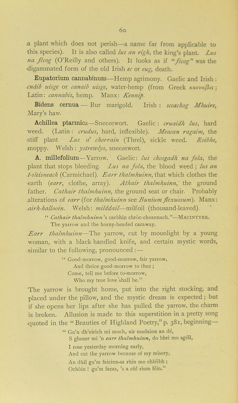 ~a plant which does not perish—a name far from applicable to this species). It is also called lus an righ, the king’s plant. Lus na fecog (O’Reilly and others). It looks as if 11 fecog was the digammated form of the old Irish ec or eug, death. Eupatorium cannabinuru—Hemp agrimony. Gaelic and Irish : cndib uisge or canaib uisge, water-hemp (from Greek Kavvafiis; Latin: cannabis, hemp. Manx: Kennip. Bidens cernua — Bur marigold. Irish : sceachog Mhuire, Mary’s haw. Achillea ptarmica—Sneezewort. Gaelic : cruaidh lus, hard weed. (Latin : crudus, hard, inflexible). Meacan ragaim, the stiff plant Lus a’ chorram (Threl), sickle weed. Roibhe, moppy. Welsh : ysirewlys, sneezewort. A. millefolium—Yarrow. Gaelic: lus chosgadh na fola, the plant that stops bleeding. Lus na fola, the blood weed ; lus an t-sleisneach (Carmichael). Earr thalmhuinn, that which clothes the earth {earr, clothe, array). Athair thalmhuinn, the ground father. Cathair thalmhuinn, the ground seat or chair. Probably alterations of earr (for thalmhuinn see Bimium flexuosum). Manx: .airh-hallooin. Welsh: milddail—milfoil (thousand-leaved). “ Catliair thalmhuinn'’ s carbhin chroc-cheannach. ”—Macintyre. The yarrow and the horny-headed caraway. Earr thalmhuinn—The yarrow, cut by moonlight by a young woman, with a black handled knife, and certain mystic words, similar to the following, pronounced : — “ Good-morrow, good-morrow, fair yarrow, And thrice good-morrow to thee; Come, tell me before to-morrow, Who my true love shall be.” The yarrow is brought home, put into the right stocking, and placed under the pillow, and the mystic dream is expected: but if she opens her lips after she has pulled the yarrow, the charm is broken. Allusion is made to this superstition in a pretty song quoted in the “Beauties of Highland Poetry,” p. 381, beginning— “ Gu’n dh’eirich mi moch, air madainn an de, S ghearr mi !n earr thalmhuinn, do bhri mo sgeil, I rose yesterday morning early, And cut the yarrow because o( my misery, An diiil gu’m faicinn-sa ruin mo chleibh ; Ochoin ! gu’m facas, ’s a c(tl rium fein.”
