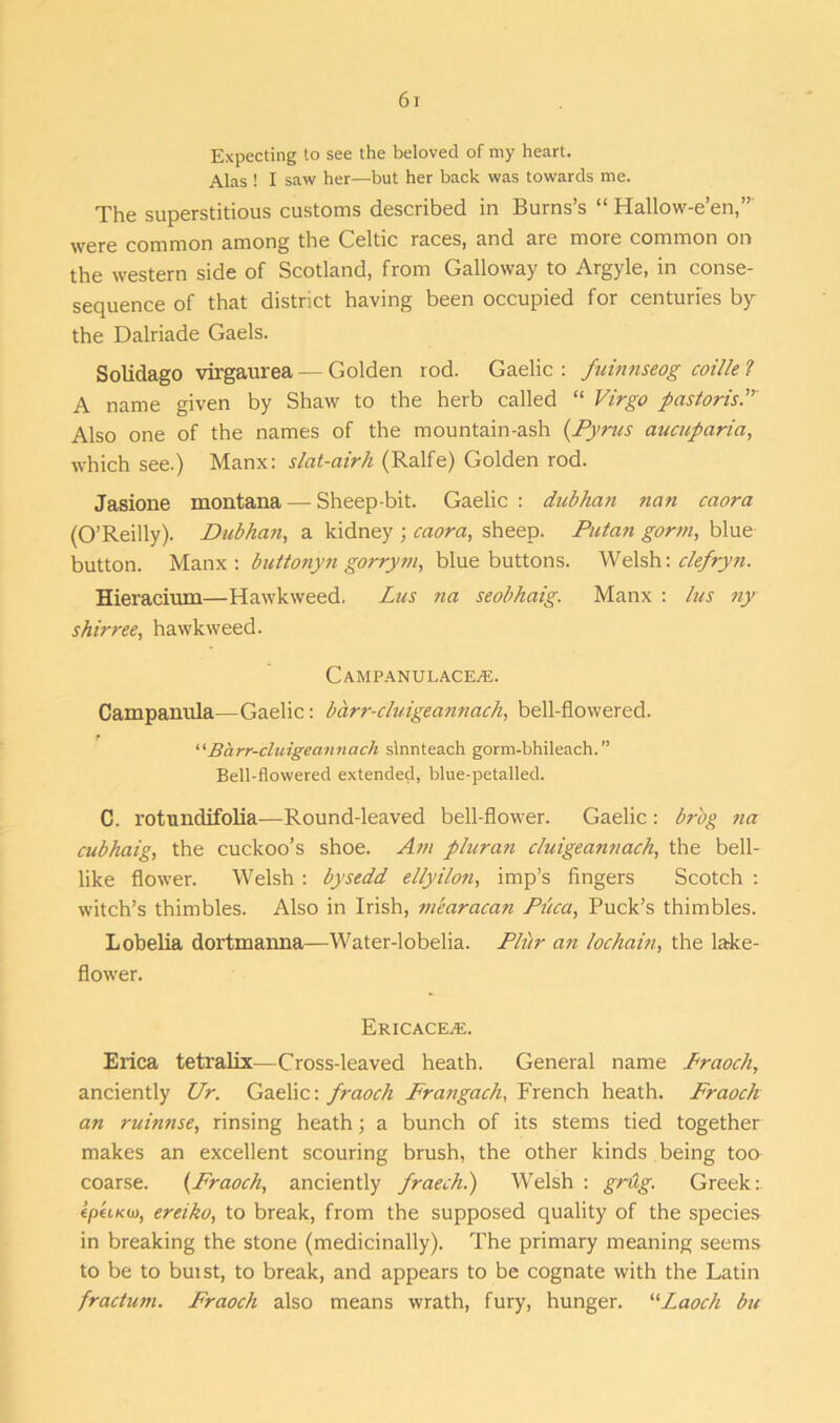 Expecting to see the beloved of my heart. Alas ! I saw her—but her back was towards me. The superstitious customs described in Burns’s “ Hallow-e’en,” were common among the Celtic races, and are more common on the western side of Scotland, from Galloway to Argyle, in conse- sequence of that district having been occupied for centuries by the Dalriade Gaels. Solidago virgaurea — Golden rod. Gaelic : fuinnseog coille ? A name given by Shaw to the herb called “ Virgo pastorisP Also one of the names of the mountain-ash (Pyrns aucuparia, which see.) Manx: slat-airh (Ralfe) Golden rod. Jasione montana — Sheep-bit. Gaelic : dubhan nan caora (O’Reilly). Dubhan, a kidney ; caora, sheep. Putan gorm, blue button. Manx: buttonyn gorrym, blue buttons. Welsh: clefryn. Hieracimn—Hawkweed. Lus na seobhaig. Manx : lus ny shirree, hawkweed. Campanulacea:. Campanula—Gaelic: barr-cluigeannach, bell-flowered. “Barr-cluigeannach slnnteach gorm-bhileach.” Bell-flowered extended, blue-petalled. C. rotundifolia—Round-leaved bell-flower. Gaelic : br'og na cubhaig, the cuckoo’s shoe. Am pluran cluigeannach, the bell- like flower. Welsh : bysedd ellyilon, imp’s fingers Scotch : witch’s thimbles. Also in Irish, mearacan Plica, Puck’s thimbles. Lobelia dortmanna—Water-lobelia. Plitr an lochain, the lake- flower. Ericaceae. Erica tetralix—Cross-leaved heath. General name Praoch, anciently Ur. Gaelic: fraoch Frangach, French heath. Fraoch an ruinnse, rinsing heath; a bunch of its stems tied together makes an excellent scouring brush, the other kinds being too coarse. (Fraoch, anciently fraech.) Welsh : gnig. Greek:. tpuKu>, ereiko, to break, from the supposed quality of the species in breaking the stone (medicinally). The primary meaning seems to be to buist, to break, and appears to be cognate with the Latin fractum. Fraoch also means wrath, fury, hunger. “Laocli bu