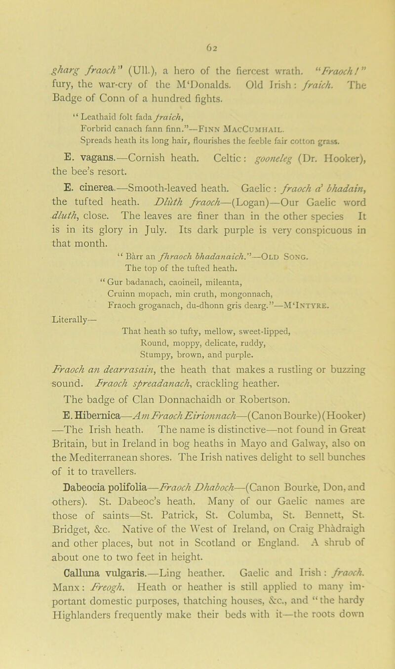gharg fraoch (Ull.), a hero of the fiercest wrath. “Fraochl” fury, the war-cry of the M‘Donalds. Old Irish: fraich. The Badge of Conn of a hundred fights. “ Leathaid folt fada fraich, Forbrid canach farm firm.”—Finn MacCumhail. Spreads heath its long hair, flourishes the feeble fair cotton grass. E. vagans.—Cornish heath. Celtic : gooneleg (Dr. Hooker), the bee’s resort. E. cinerea.—-Smooth-leaved heath. Gaelic : fraoch a’ bhadain, the tufted heath. Dluth f?-aoch—(Logan)—Our Gaelic word dluth, close. The leaves are finer than in the other species It is in its glory in July. Its dark purple is very conspicuous in that month. “ Barr an fhraoch bhaclanaich.—Old Song. The top of the tufted heath. “ Gur badanach, caoineil, mileanta, Cruinn nropach, min cruth, mongonnach, Fraoch groganach, du-dhonn gris dearg.”—MTntyre. Literally— That heath so tufty, mellow, sweet-lipped, Round, moppy, delicate, ruddy, Stumpy, brown, and purple. Fraoch an dearrasaiu, the heath that makes a rustling or buzzing sound. Fraoch spreadanach, crackling heather. The badge of Clan Donnachaidh or Robertson. E. Hibernica—Am Fraoch Eirionnach—(Canon Bourke)( Hooker) —The Irish heath. The name is distinctive—not found in Great Britain, but in Ireland in bog heaths in Mayo and Galway, also on the Mediterranean shores. The Irish natives delight to sell bunches of it to travellers. Dabeocia polifolia—Fraoch Dhaboch—(Canon Bourke, Don, and others). St. Dabeoc’s heath. Many of our Gaelic names are those of saints—St. Patrick, St. Columba, St. Bennett, St. Bridget, &c. Native of the West of Ireland, on Craig Phadraigh and other places, but not in Scotland or England. A shrub of about one to two feet in height. Calluna vulgaris.—Ling heather. Gaelic and Irish : fraoch. Manx: Freogh. Heath or heather is still applied to many im- portant domestic purposes, thatching houses, &c., and “ the hardy Highlanders frequently make their beds with it—the roots down