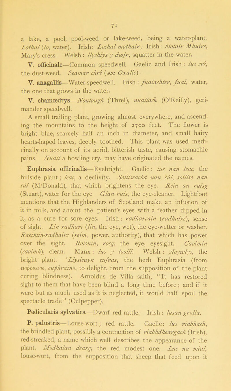 a lake, a pool, pool-weed or lake-weed, being a water-plant. Lothal (Jo, water). Irish: Lochal mothair: Irish: biolair Mhuire, Mary’s cress. Welsh : llychlys y dwpr, squatter in the water. V. officinale—Common speedwell. Gaelic and Irish : lus ere, the dust weed. Seamar chre (see Oxalis) V. anagallis—Water-speedwell. Irish : fualachter, fual, water, the one that grows in the water. V. chamcedrys—Noulough (Threl), nuallacli (O’Reilly), geri- mander speedwell. A small trailing plant, growing almost everywhere, and ascend- ing the mountains to the height of 2700 feet. The flower is bright blue, scarcely half an inch in diameter, and small hairy hearts-haped leaves, deeply toothed. This plant was used medi- cinally on account of its acrid, bitterish taste, causing stomachic- pains Nuall a howling cry, may have originated the names. Euphrasia officinalis—Eyebright. Gaelic: lus nan leac, the hillside plant ; leac, a declivity. Soillseachd nan sill, soillse nan sill (M'Donald), that which brightens the eye. Rein an ruisg (Stuart), water for the eye Gian ruis, the eye-cleaner. Lightfoot mentions that the Highlanders of Scotland make an infusion of it in milk, and anoint the patient’s eyes with a feather dipped in it, as a cure for sore eyes. Irish : radharcain (rad hairc), sense of sight. Lin radharc (lin, the eye, wet), the eye-wetter or washer. Raeimin-radhairc (reim, power, authority), that which has power over the sight. Roisnin, rosg, the eye, eyesight. Caoimin (1caoimh), clean. Manx : lus y tooill. Welsh : gloywlys, the bright plant. ’Llysieuyn eufras, the herb Euphrasia (from ev(f>po.ivo), euphraino, to delight, from the supposition of the plant curing blindness). Arnoldus de Villa saith, “ It has restored sight to them that have been blind a long time before; and if it were but as much used as it is neglected, it would half spoil the spectacle trade” (Culpepper). Pedicularis sylvatica—Dwarf red rattle. Irish : lusan grolla. P. palustris—Louse-wort; red rattle. Gaelic: lus riabhach, the brindled plant, possibly a contraction of riabhdheargach (Irish), red-streaked, a name which well describes the appearance of the plant. Modhalan dearg, the red modest one. Lus na mial, louse-wort, from the supposition that sheep that feed upon it