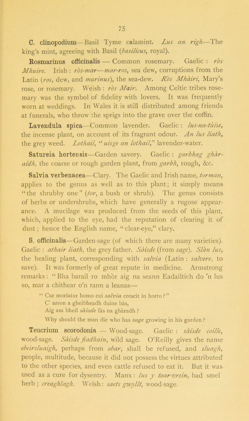 C. clinopodiiun—Basil Tyme calamint. Lus an righ—The king’s mint, agreeing with Basil (basilicas, royal). Rosmarinus officinalis — Common rosemary. Gaelic : rbs Mhuire. Irish : ros-mar—mar-ras, sea dew, corruptions from the Latin (ros, dew, and marinas), the sea-dew. Rbs Mhairi, Mary’s rose, or rosemary. Welsh : rbs Mair. Among Celtic tribes rose- mary was the symbol of fidelity with lovers. It was frequently worn at weddings. In Wales it is still distributed among friends at funerals, who throw the sprigs into the grave over the coffin. Lavendula spica—Common lavender. Gaelic : lus-na-tiiise, the incense plant, on account of its fragrant odour. An las Hath,. the grey weed. Lothail, “ uisge an lot hailS lavender-water. Satureia hortensis—Garden savory. Gaelic : garbhag ghar- aidh, the coarse or rough garden plant, from garth, rough, &c. Salvia verbenacea—Clary. The Gaelic and Irish name, tor man, applies to the genus as well as to this plant; it simply means “ the shrubby one ” (tor, a bush or shrub). The genus consists of herbs or undershrubs, which have generally a rugose appear- ance. A mucilage was produced from the seeds of this plant, which, applied to the eye, had the reputation of clearing it of dust; hence the English name, “ clear-eye,” clary. S. officinalis—Garden-sage (of which there are many varieties). Gaelic : athair Hath, the grey father. Saisde (from sage). Sian lus,. the healing plant, corresponding with salvia (Latin : salvere, to save). It was formerly of great repute in medicine. Armstrong remarks: “Bha barail ro mhor aig na seann Eadailtich do ’n lus so, mar a chithear o’n rann a leanas— “ Cur moriatur homo cui salvia crescit in horto?” C’ arson a gheibheadh duine bas, Aig am bheil saisde fas na gharadh ? Why should the man die who has sage growing in his garden ? Teucrium scorodonia — Wood-sage. Gaelic : saisde coille, wood-sage. Saisde fiadhain, wild sage. O’Reilly gives the name ebeirsluaigh, perhaps from obar, shall be refused, and sluagh, people, multitude, because it did not possess the virtues attributed to the other species, and even cattle refused to eat it. But it was used as a cure for dysentry. Manx: lus y toar-vrein, bad smel herb ; creaghlagh. Welsh: saets gwyllt, wood-sage.