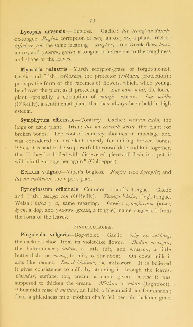 Lyeopsis arvensis — Bugloss. Gaelic : lus teang'-an-daimh, ox-tongue Bog/us, corruption of bolg, an ox ; lus, a plant. Welsh: tafodyrych, the same meaning Bugloss, from Greek f3ovs, bous, an ox, and y\oa-cra, g/ossa, a tongue, in reference to the roughness and shape of the leaves. Myosotis palustris—Marsh scorpion-grass or forget-me-not. Gaelic and Irish: cotharach, the protector (cothadh, protection); perhaps the form of the racemes of flowers, which, when young, bend over the plant as if protecting it. Lus nam mial, the louse- plant—probably a corruption of miagh, esteem. Lus inidhe (O’Reilly), a sentimental plant that has always been held in high esteem. Symphytum officinale—Comfrey. Gaelic : meacan dubh, the large or dark plant. Irish : lus na ccnamh briste, the plant for broken bones. The root of comfrey abounds in mucilage, and was considered an excellent remedy for uniting broken bones. “Yea, it is said to be so powerful to consolidate and knit together, that if they be boiled with dissevered pieces of flesh in a pot, it will join them together again ” (Culpepper). Echium vulgare—Viper’s bugloss. Boglus (see Lyeopsis) and lus na nathrach, the viper’s plant. Cynoglossum officinale—Common hound’s tongue. Gaelic and Irish: teanga con (O’Reilly). Teanga ’choin, dog’s-tongue. Welsh: tafod y ci, same meaning. Greek: cynoglossum (kvuv, kyon, a dog, and yXoxnra, glossa, a tongue), name suggested from the form of the leaves. PlNGUICULACE^E. Pinguicula vulgaris—Bog-violet. Gaelic: brbg na cubhaig, the cuckoo’s shoe, from its violet-like flower. Badan measgan, the butter-mixer; badan, a little tuft, and measgan, a little butter-dish; or measg, to mix, to stir about. On cows’ milk it acts like rennet. Lus a’ bhainne, the milk-wort. It is believed it gives consistence to milk by straining it through the leaves. Uachdar, surface, top, cream—a name given because? it was supposed to thicken the cream. Mbthan or mban (Lightfoot). “ Buainidh mise a’ mbthan, an luibh a bheannaich an Domhnach ; fhad ’a ghleidheas mi a’ mothan cha ’n 'eil beo air thalamh gin a