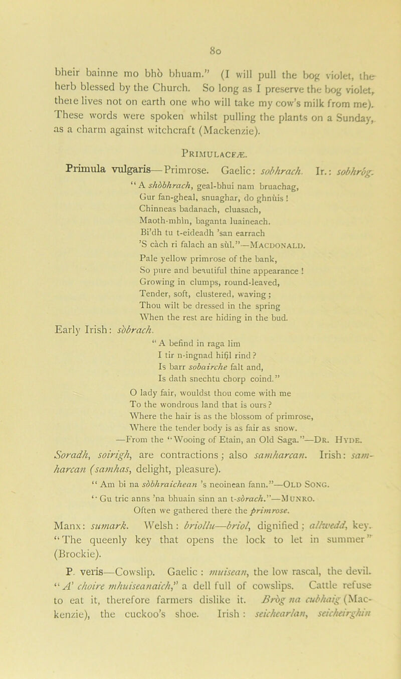 bheir bainne mo bho bhuam.” (I will pull the bog violet, the herb blessed by the Church. So long as I preserve the bog violet, theie lives not on earth one who will take my cow’s milk from me). These words were spoken whilst pulling the plants on a Sunday, as a charm against witchcraft (Mackenzie). Primulacf/E. Primula vulgaris—Primrose. Gaelic: sobhrach. Ir.: sobhrog. “A shbbhrach, geal-bhui nam bruachag, Gur fan-gheal, snuaghar, do ghnuis ! Chinneas badanach, cluasach, Maoth-mhln, baganta luaineach. Bi’dh tu t-eideadh ’san earrach ’S each ri falach an sill.”—Macdonald. Pale yellow primrose of the bank, So pure and beautiful thine appearance ! Growing in clumps, round-leaved, Tender, soft, clustered, waving; Thou wilt be dressed in the spring When the rest are hiding in the bud. Early Irish: s'obrach. “ A befind in raga lim I tir n-ingnad hifjl rind ? Is barr sobairche fait and, Is dath snechtu chorp coind.” O lady fair, wouldst thou come with me To the wondrous land that is ours? Where the hair is as the blossom of primrose, Where the tender body is as fair as snow. —From the “Wooing of Etain, an Old Saga.”—Dr. Hyde. Soradh, soirigh, are contractions; also samharcan. Irish: sa/n- harcan (samhas, delight, pleasure). “ Am bi na sdbhraichean’s neoinean fann.”—Old Song. *• Gu trie anns ’na bhuain sinn an t-sbrach.”—Munro. Often we gathered there the primrose. Manx: sumark. Welsh : briollu—briol\ dignified ; allwedd, key. “ The queenly key that opens the lock to let in summer ” (Brockie). P. veris—Cowslip. Gaelic : >m/isea/i, the low rascal, the devil. “A’ choire mhuiseanaich,” a dell full of cowslips. Cattle refuse to eat it, therefore farmers dislike it. Brbg na cublmig (Mac- kenzie), the cuckoo’s shoe. Irish : seicAearlan, seickeirghin