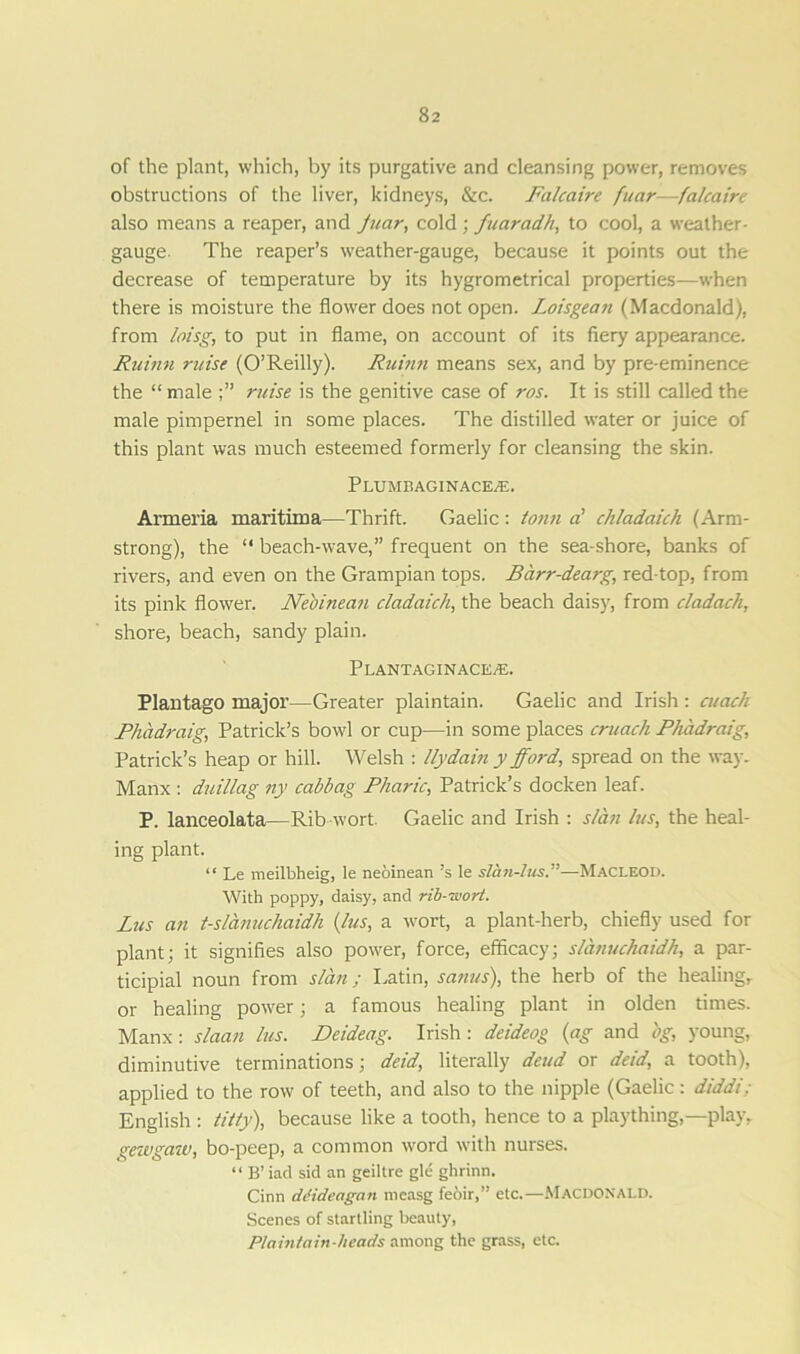 of the plant, which, by its purgative and cleansing power, removes obstructions of the liver, kidneys, &c. Falcaire fuar—fakaire also means a reaper, and Juar, cold ; fuaradh, to cool, a weather- gauge. The reaper’s weather-gauge, because it points out the decrease of temperature by its hygrometrical properties—when there is moisture the flower does not open. Loisgean (Macdonald), from loisg, to put in flame, on account of its fiery appearance. Ruinn raise (O’Reilly). Ruinn means sex, and by pre-eminence the “male raise is the genitive case of ros. It is still called the male pimpernel in some places. The distilled water or juice of this plant was much esteemed formerly for cleansing the skin. Plump, agin ace/E. Armeria maritima—Thrift. Gaelic : tonn a' chladaich (Arm- strong), the “ beach-wave,” frequent on the sea-shore, banks of rivers, and even on the Grampian tops. Barr-dearg, red-top, from its pink flower. Neoinean cladaich, the beach daisy, from cladach, shore, beach, sandy plain. PlANTAGINACE/E. Plantago major—Greater plaintain. Gaelic and Irish : cuach Phadraig, Patrick’s bowl or cup—in some places crunch Phadraig, Patrick’s heap or hill. Welsh : llydain y fford, spread on the way. Manx : duillag ny cabbag Pharic, Patrick’s docken leaf. P. lanceolata—Rib wort. Gaelic and Irish : slan las, the heal- ing plant. “ Le meilbheig, le neoinean’s le slan-lus.”—Macleod. With poppy, daisy, and rib-wort. Las an t-slanuchaidh (las, a wort, a plant-herb, chiefly used for plant; it signifies also power, force, efficacy; slanuchaidh, a par- ticipial noun from slan ; Latin, sanus), the herb of the healing,, or healing power; a famous healing plant in olden times. Manx: slaan las. Deideag. Irish: deideog (ag and bg, young, diminutive terminations; deid, literally dead or deid, a tooth), applied to the row of teeth, and also to the nipple (Gaelic: diddi: English: titty), because like a tooth, hence to a plaything,—play, gewgaw, bo-peep, a common word with nurses. “ B’ iad sid an geiltre gle ghrinn. Cinn ddideagan mcasg feoir,” etc.—MACDONALD. Scenes of startling beauty, Plaintain-heads among the grass, etc.