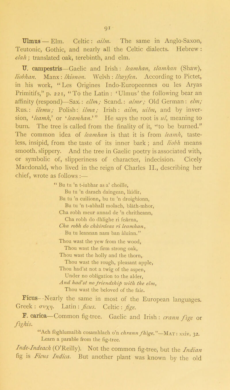 Ulmus— Elm. Celtic: ailm. The same in Anglo-Saxon, Teutonic, Gothic, and nearly all the Celtic dialects. Hebrew : elah; translated oak, terebinth, and elm. U. campestris—Gaelic and Irish : leamhan, slamhan (Shaw), liobhan. Manx: Ihiotion. Welsh : llwyfen. According to Pictet, in his work, “Les Origines Indo-Europeennes ou les Aryas Primitifs,” p. 221, “To the Latin : ‘Ulmus’ the following bear an affinity (respond)—Sax.: ellm; Scand.: almr; Old German : elm; Rus.: ilemu; Polish: ilma; Irish: ailm, uilm, and by inver- sion, ‘leatnh,’ or ‘leamhanl” He says the root is nl, meaning to burn. The tree is called from the finality of it, “to be burned.” The common idea of leamhan is that it is from leamh, taste- less, insipid, from the taste of its inner bark; and liobh means smooth, slippery. And the tree in Gaelic poetry is associated with, or symbolic of, slipperiness of character, indecision. Cicely Macdonald, who lived in the reign of Charles II., describing her chief, wrote as follows :— “ Bu tu ’n t-iubhar as a’ choille, Bu tu ’n darach daingean, laidir, Bu tu 3n cuilionn, bu tu ’n droighionn, Bu tu ’n t-abhall molach, blath-mhor, Cha robh meur annad de ’n chritheann, Cha robh do dhlighe ri fedrna, Cha robh do chhirdeas ri leamhan, Bu tu leannan nam ban aluinn.” Thou wast the yew from the wood, Thou wast the firm strong oak, Thou wast the holly and the thorn, Thou wast the rough, pleasant apple, Thou had’st not a twig of the aspen. Under no obligation to the alder. And had’st no friendship with the elm. Thou wast the beloved of the fair. Ficus--Nearly the same in most of the European languages. Greek : a-vgr]. Latin : ficus. Celtic : fige. F. carica— Common fig-tree. Gaelic and Irish : crann fige or fights. “Ach foghlumaibh cosamhlach o’n chrann fhige.—Mat : xxiv, 32. Learn a parable from the fig-tree. Inde-Indeach (O’Reilly). Not the common fig-tree, but the Indian fig is Ficus Indica. But another plant was known by the old