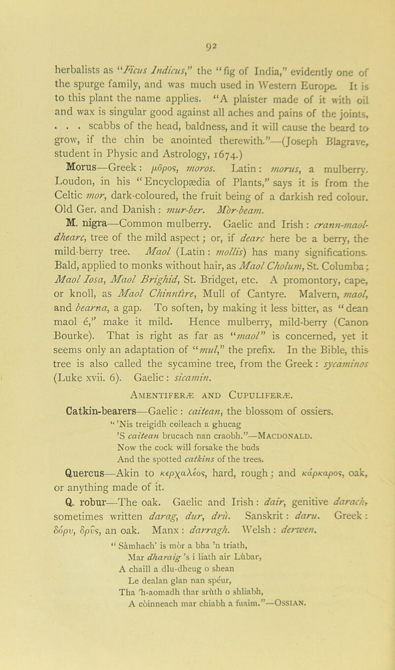 herbalists as “Ficus Indicusthe “fig of India,” evidently one of the spurge family, and was much used in Western Europe. It is to this plant the name applies. “A plaister made of it with oil and wax is singular good against all aches and pains of the joints, . . . scabbs of the head, baldness, and it will cause the beard to grow, if the chin be anointed therewith.”—(Joseph Blagrave, student in Physic and Astrology, 1674.) Morns—Greek : 716pos, moros. Latin : morns, a mulberry. Loudon, in his “ Encyclopaedia of Plants,” says it is from the Celtic mor, dark-coloured, the fruit being of a darkish red colour. Old Ger. and Danish : mur-ber. M'or-beam. M. nigra—Common mulberry. Gaelic and Irish : cratm-maol- dhearc, tree of the mild aspect; or, if dearc here be a berry, the mild-berry tree. Maol (Latin : mollis) has many significations. Bald, applied to monks without hair, as Maol Cholum, St. Columba: Maol losa, Maol Brighid, St. Bridget, etc. A promontory, cape, or knoll, as Maol Chinntire, Mull of Cantyre. Malvern, maol, and bearna, a gap. To soften, by making it less bitter, as “dean maol e,” make it mild. Hence mulberry, mild-berry (Canon Bourke). That is right as far as “maol” is concerned, yet it seems only an adaptation of “multhe prefix. In the Bible, this tree is also called the sycamine tree, from the Greek: sycaminos (Luke xvii. 6). Gaelic : sicamin. AMENTIFERiE AND CUPULIFERJE. Catkin-bearers—Gaelic: caitean, the blossom of ossiers. “ ’Nis treigidh coileach a ghucag ’S caitean brucach nan craobh.”— Macdonald. Now the cock will forsake the buds And the spotted catkins of the trees. Quercus—Akin to Kepxakeos, hard, rough; and Kapnapo?, oak, or anything made of it. Q,. robur—The oak. Gaelic and Irish: dair, genitive daracli, sometimes written darag, dur, drii. Sanskrit: daru. Greek: Sopv, Spvs, an oak. Manx : darragh. Welsh : derwen. “ Samhach’ is mor a bha :n triath, Mar dliaraig’s i Hath air Lubar, A chaill a dlu-dheug o shean Le dealan glan nan speur, Tha 'h-aomadh thar sriith o shliabh, A cbinneach mar chiabh a fuairn.”—Ossian.