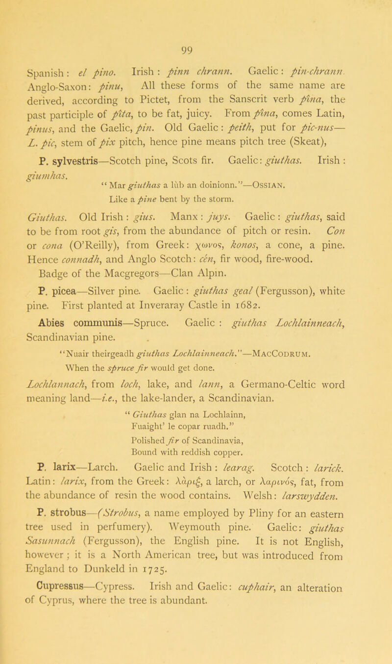 Spanish : el pino. Irish : pinn chrann. Gaelic : pin-chrann. Anglo-Saxon: pinu, All these forms of the same name are derived, according to Pictet, from the Sanscrit verb pina, the past participle of pita, to be fat, juicy. From pina, comes Latin, pinus, and the Gaelic, pin. Old Gaelic: peith, put for pic-nus— L. pic, stem of pix pitch, hence pine means pitch tree (Skeat), P. sylvestris—Scotch pine, Scots fir. Gaelic: giuthas. Irish : giumhas. “ Mar giuthas a lub an doinionn.”—Ossian. Like a pine bent by the storm. Giuthas. Old Irish : gius. Manx : juys. Gaelic : giuthas, said to be from root gis, from the abundance of pitch or resin. Con or cona (O’Reilly), from Greek: xwvos> konos, a cone, a pine. Hence connadh, and Anglo Scotch: cen, fir wood, fire-wood. Badge of the Macgregors—Clan Alpin. P. picea—Silver pine. Gaelic : giuthas geal (Fergusson), white pine. First planted at Inveraray Castle in 1682. Abies communis—-Spruce. Gaelic : giuthas Lochlainneach, Scandinavian pine. “Nuair theirgeadh giuthas Lochlainneach.—MacCodrum. When the spruce fir would get done. Lochlannach, from loch, lake, and lann, a Germano-Celtic word meaning land—i.e., the lake-lander, a Scandinavian. “ Giuthas glan na Lochlainn, Fuaight’ le copar ruadh.” Polished fir of Scandinavia, Bound with reddish copper. P. larix—Larch. Gaelic and Irish : learag. Scotch : larick. Latin: larix, from the Greek: Aapi£, a larch, or Xaptvos, fat, from the abundance of resin the wood contains. Welsh: larswydden. P. strobus—(Strobus, a name employed by Pliny for an eastern tree used in perfumery). Weymouth pine. Gaelic: giuthas Sasunnach (Fergusson), the English pine. It is not English, however; it is a North American tree, but was introduced from England to Dunkeld in 1725. Cupressus—Cypress. Irish and Gaelic: cuphair, an alteration of Cyprus, where the tree is abundant.