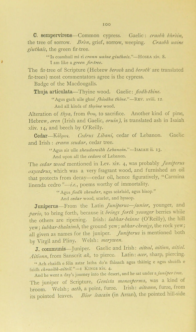 IOO C. sempervirens—Common cypress. Gaelic : craobh bhr'oitt, the tree of sorrow. Brbn, grief, sorrow, weeping. Craobh uaine giuthais, the green fir-tree. “Is cosmhuil mi ri crann uaine giuthais.—Hosea xiv. 8. I am like a green fir-tree. The fir-tree of Scripture (Hebrew berosh and beroth are translated fir-trees) most commentators agree is the cypress. Badge of the Macdougalls. Thuja articulata—Thyine wood. Gaelic: fiodh-thine. “Agus gach uile ghne fhiodha thine.—Rev. xviii. 12. And all kinds of thyine wood. Alteration of thy a, from dvu, to sacrifice. Another kind of pine, Hebrew, oren (Irish and Gaelic, oruin), is translated ash in Isaiah xliv. 14, and beech by O’Reilly. Cedar—KeSpos. Cedrus Libani, cedar of Lebanon. Gaelic and Irish : crann seudar, cedar tree. “Agus air uile sheudaraibh Lebanoin.—Isaiah ii. 13. And upon all the cedars of Lebanon. The cedar wood mentioned in Lev. xiv. 4, was probably Juniperus oxycedrus, which was a very fragrant wood, and furnished an oil that protects from decay—cedar oil, hence figuratively, “Carmina linenda cedro ”—i.e., poems worthy of immortality. “Agusfiodh sheudar, agus scarlaid, agus hisop.” And cedar wood, scarlet, and hyssop. Juniperus—From the Latin Juniperus—junior, younger, and pario, to bring forth, because it brings forth younger berries while the others are ripening. Irish: iubhar-beinne (O’Reilly), the hill yew; iubhar-thalaimh, the ground yew; ubhar-chraige, the rock yew; all given as names for the juniper. Juniperus is mentioned both by Virgil and Pliny. Welsh: merywen. J. communis—Juniper. Gaelic and Irish: aiteal, ait inn, aitioL Aitionn, from Sanscrit ah, to pierce. Latin: acer, sharp, piercing. “ Ach chaidh e fein astar latha do’n fhasack agus thainig e agus shuidh e fuidh chraoibli-aiteil—1 Kings xix. 4. And he went a day’s journey into the desert, and he sat under a juniper tree. The juniper of Scripture, Genista monosperma, was a kind of broom. Welsh; aeth, a point, furze. Irish: aiteann, furze, from its pointed leaves. Bior leacain (in Arran), the pointed hill-side