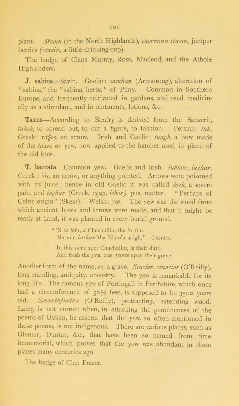 plant. Staoin (in the North Highlands), caorrann staom, juniper berries (staoin, a little drinking-cup). The badge of Clans Murray, Ross, Macleod, and the Athole Highlanders. J. sabina—Savin. Gaelic: samhan (Armstrong), alteration of “ sabina,” the “ sabina herba ” of Pliny. Common in Southern Europe, and frequently cultivated in gardens, and used medicin- ally as a stimulant, and in ointments, lotions, &c. Taxus—According to Benfry is derived from the Sanscrit, taksh, to spread out, to cut a figure, to fashion. Persian: tak. Greek: rd^os, an arrow. Irish and Gaelic: tuagh, a bow made of the taxos or yew, now applied to the hatchet used in place of the old bow. T. baccata—Common yew. Gaelic and Irish : iubhar, iughar. Greek : ids, an arrow, or anything pointed. Arrows were poisoned with its juice; hence in old Gaelic it was called iogh, a severe pain, and ioghar (Greek, t-xwP> ichor), pus, matter. “ Perhaps of Celtic origin” (Skeat). Welsh: yw. The yew was the wood from which ancient bows and arrows were made, and that it might be ready at hand, it was planted in every burial ground. “ ’N so fein, a Chuchullin, tha ’n Air, ’S caoin inthar ’tha ’fas o’n uaigh.”—Ossian. In this same spot Chuchullin, is their dust, And fresh the yew tree grows upon their grave. Another form of the name, eo, a grave. Shisior, sinnsior (O’Reilly), long standing, antiquity, ancestry. The yew is remarkable for its long life. The famous yew of Fortingall in Perthshire, which once had a circumference of 56^ feet, is supposed to be 3500 years old. Sineadhfeadha (O’Reilly), protracting, extending wood. Laing is not correct when, in attacking the genuineness of the poems of Ossian, he asserts that the yew, so often mentioned in these poems, is not indigenous. There are various places, such as Gleniur, Duniur, &c., that have been so named from time immemorial, which proves that the yew was abundant in these places many centuries ago. The badge of Clan Fraser.