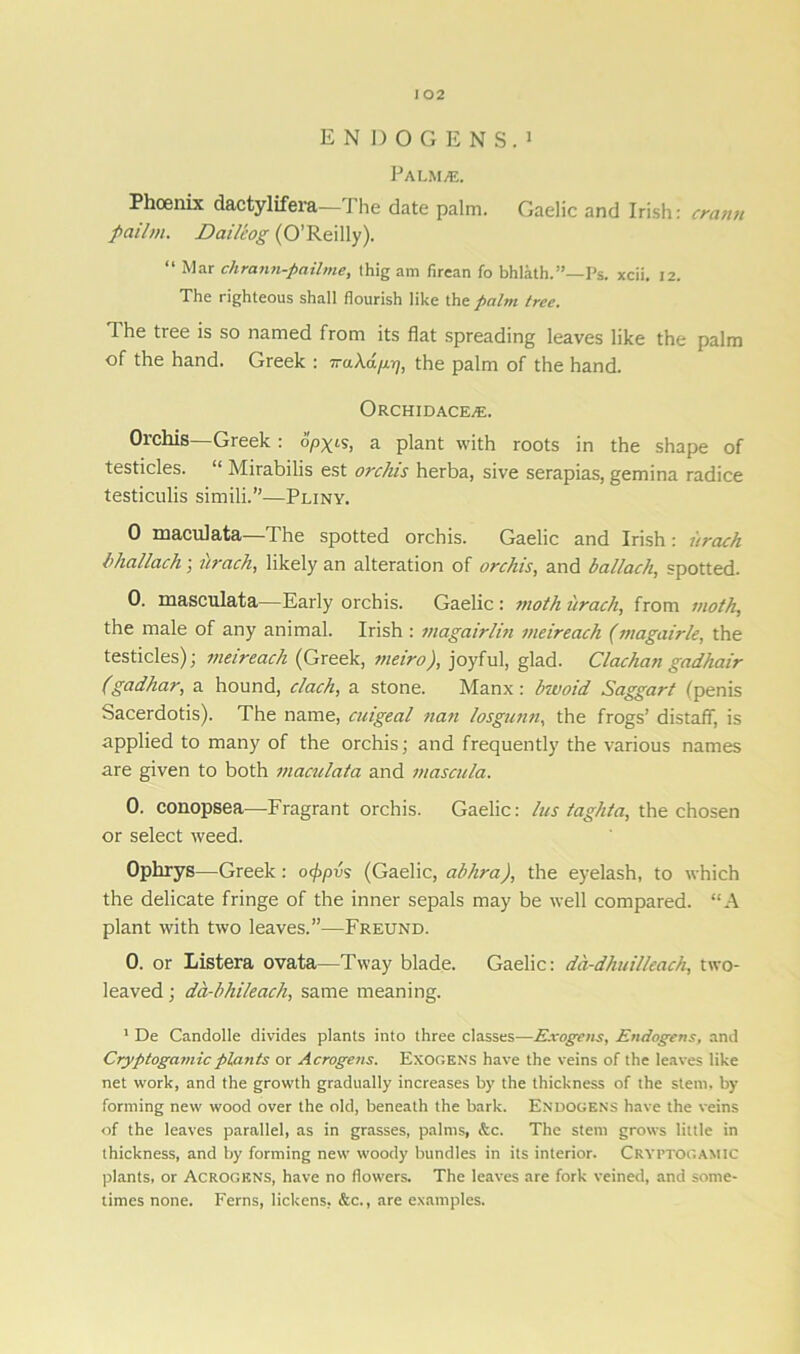 ENDOGENS.1 Palmaj. Phoenix dactylifera—The date palm. Gaelic and Irish: era mi pailm. Daileog (O’Reilly). “ Mar chrann-pailme, thig am firean fo bhlath.”—Ps. xcii. 12. The righteous shall flourish like the palm tree. The tree is so named from its flat spreading leaves like the palm of the hand. Greek : iraXa/nq, the palm of the hand. Orchidace^e. Orchis—Greek : <3pgis, a plant with roots in the shape of testicles. “ Mirabilis est orchis herba, sive serapias, gemina radice testiculis simili.”—Pliny. 0 maculata—The spotted orchis. Gaelic and Irish: urach i’hallach; urach, likely an alteration of orchis, and ballach, spotted. 0. masculata—Early orchis. Gaelic: moth urach, from moth, the male of any animal. Irish : magairlin meireach (magairle, the testicles); meireach (Greek, meiro), joyful, glad. Clachan gadhair (gadhar, a hound, clach, a stone. Manx: bwoid Saggart (penis Sacerdotis). The name, cuigeal nan losgunn, the frogs’ distaff, is applied to many of the orchis; and frequently the various names are given to both maculata and mascula. 0. conopsea—Fragrant orchis. Gaelic: lus taghta, the chosen or select weed. Ophrys—Greek: o(j>pvs (Gaelic, abhra), the eyelash, to which the delicate fringe of the inner sepals may be well compared. “A plant with two leaves.”—Freund. 0. or Listera ovata—Tway blade. Gaelic: da-dhuilleach, two- leaved ; da-bhileach, same meaning. 1 De Candolle divides plants into three classes—Exogens, Endogens, and Cryptogamicplants or Acrogens. Exogens have the veins of the leaves like net work, and the growth gradually increases by the thickness of the stem, by forming new wood over the old, beneath the bark. Endogens have the veins of the leaves parallel, as in grasses, palms, &c. The stem grows little in thickness, and by forming new woody bundles in its interior. Cryptogamic plants, or Acrogens, have no flowers. The leaves are fork veined, and some- times none. Ferns, lickens, &c., are examples.