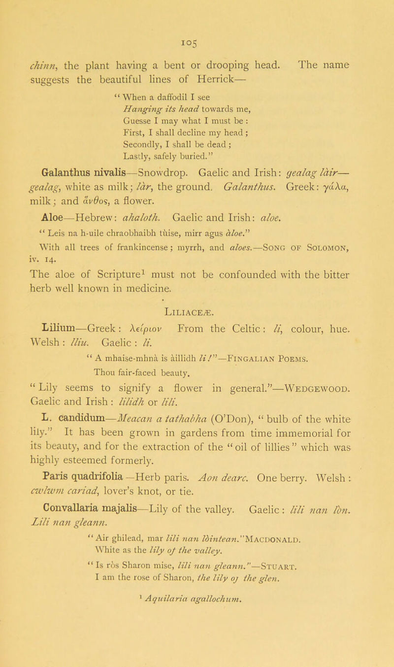 chinn, the plant having a bent or drooping head. The name suggests the beautiful lines of Herrick— ‘ ‘ When a daffodil I see Hanging its head towards me, Guesse I may what I must be : First, I shall decline my head ; Secondly, I shall be dead ; Lastly, safely buried.” Galanthus nivalis—Snowdrop. Gaelic and Irish: yectlag lair— gealag, white as milk; lar, the ground. Galanthus. Greek: ydAa, milk; and avOos, a flower. Aloe—Hebrew: ahaloth. Gaelic and Irish: aloe. “ Leis na h-uile chraobhaibh thise, mirr agus aloe.’' With all trees of frankincense; myrrh, and aloes.—Song of Solomon, iv. 14. The aloe of Scripture1 must not be confounded with the bitter herb well known in medicine. Liliace^e. Lilium—Greek: Xelpiov From the Celtic: li, colour, hue. Welsh : lliu. Gaelic : li. “ A mhaise-mhna is aillidh li!—Fingalian Poems. Thou fair-faced beauty. “ Lily seems to signify a flower in general.”—Wedgewood. Gaelic and Irish : lilidh or lili. L. candidum—Meat a n a tathahlia (O’Don), “ bulb of the white lily.” It has been grown in gardens from time immemorial for its beauty, and for the extraction of the “ oil of lillies ” which was highly esteemed formerly. Paris quadrifolia —Herb paris. Aon dearc. One berry. Welsh ; cwlwm cariad, lover’s knot, or tie. Convallaria majalis—Lily of the valley. Gaelic : lili nan Ion. Lili nan gleann. “Air ghilead, mar lili nan Ibintean.Macdonald. White as the lily of the valley. “ Is ros Sharon mise, lili nan gleann.”—Stuart. I am the rose of Sharon, the lily oj the glen. Aquilaria agallochum.