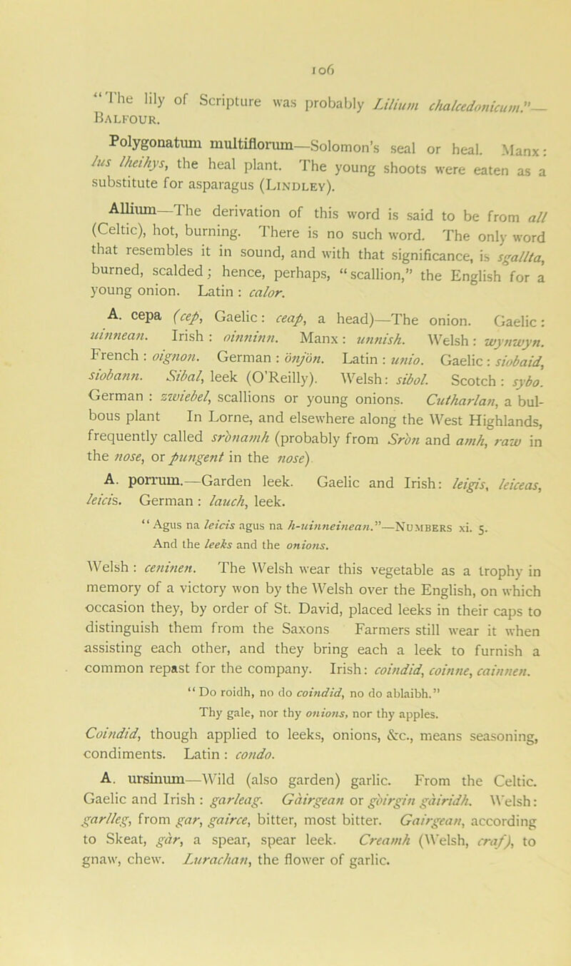 “The ]ily of Scripture was probably Lilium chalcedonicumP— Balfour. Polygonatiun multifloruin—Solomon’s seal or heal. Manx: /us Iheihys, the heal plant. The young shoots were eaten as a substitute for asparagus (Lindley). Allium—The derivation of this word is said to be from all (Celtic), hot, burning. There is no such word. The only word that resembles it in sound, and with that significance, is sgallta, burned, scalded; hence, perhaps, “ scallion,” the English for a young onion. Latin : calor. A. cepa (cep, Gaelic: ceap, a head)—The onion. Gaelic: uinnean. Irish : oinninn. Manx : utinish. Welsh : wynwyn. French : oignon. German : onjon. Latin : unio. Gaelic : siobaid, siobann. Sibal, leek (O’Reilly). Welsh: sibol. Scotch : sybo. German . zwiebel, scallions or young onions. Cutharlan, a bul- bous plant In Lome, and elsewhere along the West Highlands, frequently called sronamh (probably from Sr bn and amh, raw in the nose, or pungetit in the nose) A. porrum.—Garden leek. Gaelic and Irish: leigis, leiceas, leicis. German : lauch, leek. “ Agus na leicis agus na h-uinneinean.”—Numbers xi. 5. And the leeks and the onions. AVelsh : ceninen. The Welsh wear this vegetable as a trophy in memory of a victory won by the Welsh over the English, on which occasion they, by order of St. David, placed leeks in their caps to distinguish them from the Saxons Farmers still wear it when assisting each other, and they bring each a leek to furnish a common repast for the company. Irish: coindid, coinne, cainnen. “ Do roidh, no do coindid, no do ablaibh.” Thy gale, nor thy onions, nor thy apples. Coindid, though applied to leeks, onions, &c., means seasoning, condiments. Latin: condo. A. ursinum—Wild (also garden) garlic. From the Celtic. Gaelic and Irish : garleag. Gairgean or gbirgin gairidh. Welsh: garlleg, from gar, gairce, bitter, most bitter. Gairgean, according to Skeat, gar, a spear, spear leek. Creamh (Welsh, craf), to gnaw, chew. Lurachan, the flower of garlic.