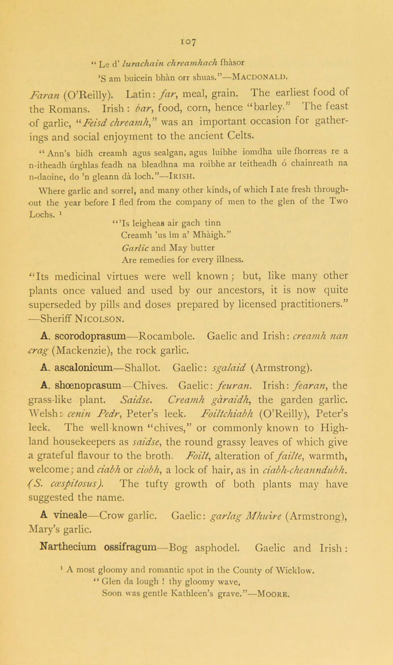 io7 “ Le d’ lurachain chreainliach fhasor ’S am buicein bhan orr shuas.”—Macdonald. Faran (O’Reilly). Latin: far, meal, grain. The earliest food of the Romans. Irish: bar, food, corn, hence “barley.’' The feast of garlic, “Feisd chreaitih,” was an important occasion for gather- ings and social enjoyment to the ancient Celts. “ Ann’s bidh creamh agus sealgan, agus luibhe iomdha uile fborreas re a n-itheadh lirghlas feadh na bleadhna ma roibhe ar teitheadh o chainreath na n-daoine, do ’n gleann da loch.”—Irish. Where garlic and sorrel, and many other kinds, of which I ate fresh through- out the year before I fled from the company of men to the glen of the Two Lochs. 1 “’Is leigheas air gach tinn Creamh ’us 1m a’ Mhaigh.” Garlic and May butter Are remedies for every illness. “Its medicinal virtues were well known; but, like many other plants once valued and used by our ancestors, it is now quite superseded by pills and doses prepared by licensed practitioners.” -—Sheriff Nicolson. A. scorodoprasmn—Rocambole. Gaelic and Irish: creamh nan crag (Mackenzie), the rock garlic. A. ascalorricum—Shallot. Gaelic: sgalaid (Armstrong). A. shcenoprasum—Chives. Gaelic: feuran. Irish: fearan, the grass-like plant. Saidse. Creamh garaidh, the garden garlic. Welsh: cenin Fedr, Peter’s leek. Foiltchiabh (O’Reilly), Peter’s leek. The well known “chives,” or commonly known to High- land housekeepers as saidse, the round grassy leaves of which give a grateful flavour to the broth. Foil/, alteration of failte, warmth, welcome; and ciabh or ciobh, a lock of hair, as in ciabh-cheanndubh. {S. ccespitosus). The tufty growth of both plants may have suggested the name. A vineale—Crow garlic. Gaelic: gar lag Mhuire (Armstrong), Mary’s garlic. Narthecium ossifragum—Bog asphodel. Gaelic and Irish : 1 A most gloomy and romantic spot in the County of Wicklow. “ Glen da lough ! thy gloomy wave, Soon was gentle Kathleen’s grave.”—Moore.