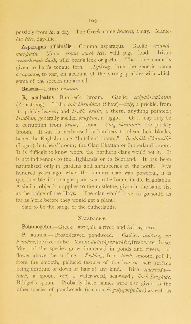 possibly from /a, a day. The Greek name hemera, a day. Manx; laa like, day-lilie. Asparagus officinalis.—Commn asparagus. Gaelic : creamh- mac-fiadh. Manx: croati muck feie, wild pigs’ food. Irish: creamh-muic-fiadh, wild boar’s leek or garlic. The same name is given to hart’s tongue fern. Asparag, from the generic name o-irapao-cno, to tear, on account of the strong prickles with which some of the species are armed. Ruscus—Latin: ruscum. R. aculeatus—Butcher’s broom. Gaelic: calg-bhrudhainn (Armstrong). Irish : calg-bhrudhan (Shaw)—ca/g, a prickle, from its prickly leaves; and bruth, bruid, a thorn, anything pointed; brudhan, generally spelled brughan, a faggot. Or it may only be a corruption from brum, broom. Calg bhealaidh, the prickly broom. It was formerly used by butchers to clean their blocks, hence the English name “butchers’ broom.” Bealaidh Chataoibh (Logan), butchers’ broom; the Clan Chattan or Sutherland broom. It is difficult to know where the northern clans would get it. It is not indigenous to the Highlands or to Scotland. It has been naturalised only in gardens and shrubberies in the north. Five hundred years ago, when the famous clan was powerful, it is questionable if a single plant was to be found in the Highlands. A similar objection applies to the mistletoe, given in the same list as the badge of the Hays. The clan would have to go south as far as York before they would get a plant! Said to be the badge of the Sutherlands. NaiadacEjE. Potamogeton—Greek: irorap.b's, a river, and Aetrov, near. P. natans — Broad-leaved pondweed. Gaelic : duileasg na h-aibhne, the river dulse. Manx: dullishfar ushteg, fresh wrater dulse. Most of the species grow immersed in ponds and rivers, but flower above the surface. Liobhag, from liobh, smooth, polish, from the smooth, pellucid texture of the leaves, their surface being destitute of down or hair of any kind. Irish: liachroda Hack, a spoon, rod, a water-weed, sea-weed; liach-Brighide, Bridget’s spoon. Probably these names were also given to the other species of pondweeds (such as P. polygonifolius) as well as