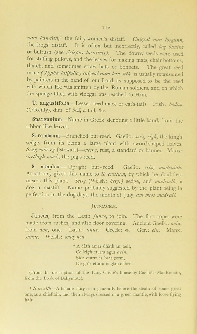nam ban-sith,1 the fairy-women’s distaff. Cuigeal nan losgunn, the frogs’ distaff. It is often, but incoriectly, called l/og bhuinc or bulrush (see Sctrpus lacustris). The downy seeds were used for stuffing pillows, and the leaves for making mats, chair bottoms, thatch, and sometimes straw hats or bonnets. The great reed mace (Typha latifolia) cuigeal nam ban sith, is usually represented by painters in the hand of our Lord, as supposed to be the reed with which He was smitten by the Roman soldiers, and on which the sponge filled with vinegar was reached to Him. T. angustifolia—Lesser reed-mace or cat’s-tail) Irish : bodan (O’Reilly), dim. of bod, a tail, &c. Sparganium—Name in Greek denoting a little band, from the ribbon-like leaves. S. ramosum—Branched bur-reed. Gaelic : seisg righ, the king’s sedge, from its being a large plant with sword-shaped leaves. Seisg mheirg (Stewart)—meirg, rust, a standard or banner. Manx: curtlagh muck, the pig’s reed. S. simplex—-Upright bur-reed. Gaelic: seisg madraidh. Armstrong gives this name to A. erectum, by which he doubtless means this plant. Seisg (Welsh: hesg.) sedge, and madradh, a dog, a mastiff. Name probably suggested by the plant being in perfection in the dog-days, the month of July, am m)os madrail. JUNCACE/E. Juncus, from the Latin jungo, to join. The first ropes were made from rushes, and also floor covering. Ancient Gaelic: aoin, from aon, one. Latin: units. Greek: etc Ger.: ein. Manx: shnne. Welsh: brwyne/i. “ A dath amar dhath an aeil, Coilcigh eturra agus aeiti. Slda eturra is brat gorni, Derg or eturra is glan chorn. (From the description of the Lady Crehe’s house by Caeilte’s MacRonain, from the Book of Ballymote). 1 Ban stth—A female fairy seen generally before the death of some great one, as a chieftain, and then always dressed in a green mantle, with loose flying hair.