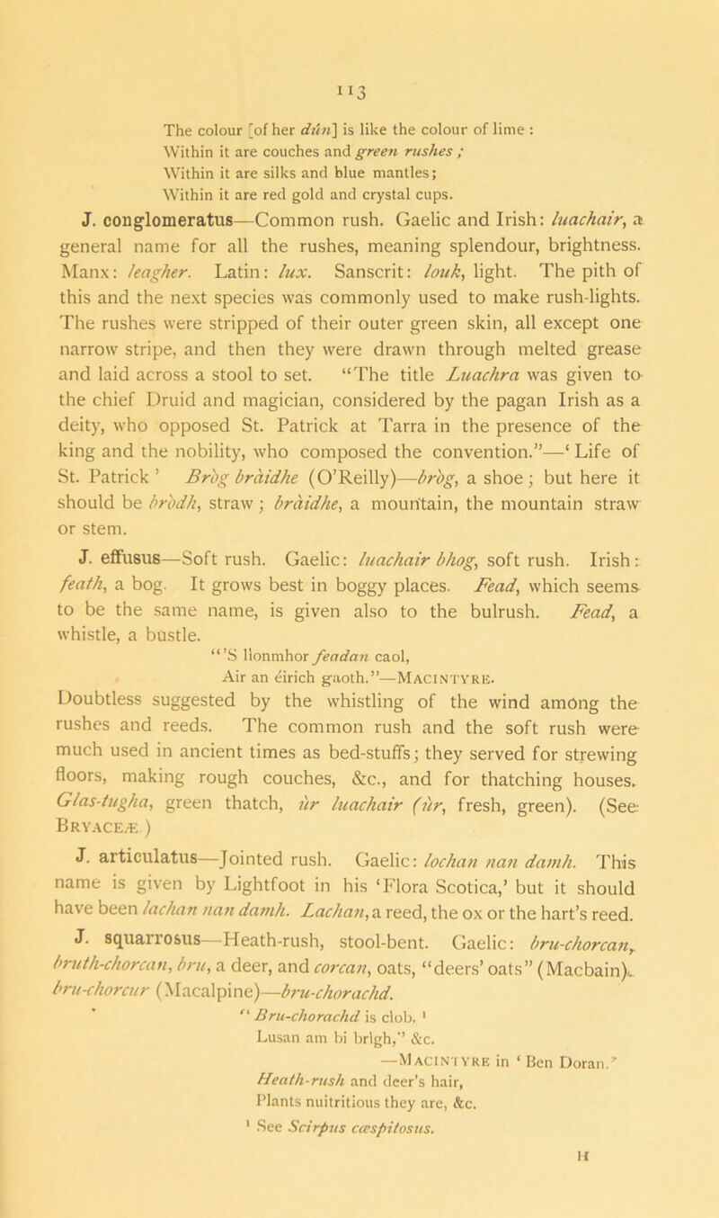”3 The colour [of her dun] is like the colour of lime : Within it are couches and green rushes ; Within it are silks and blue mantles; Within it are red gold and crystal cups. J. cong'lomeratus—Common rush. Gaelic and Irish: luachair, a general name for all the rushes, meaning splendour, brightness. Manx: leagher. Latin: lux. Sanscrit: louk, light. The pith of this and the next species was commonly used to make rush-lights. The rushes were stripped of their outer green skin, all except one narrow stripe, and then they were drawn through melted grease and laid across a stool to set. “The title Luachrn was given to the chief Druid and magician, considered by the pagan Irish as a deity, who opposed St. Patrick at Tarra in the presence of the king and the nobility, who composed the convention.”—-‘Life of St. Patrick’ Brbg braidhe (O’Reilly)—brog, a shoe; but here it should be br'odh, straw; braidhe, a mountain, the mountain straw or stem. J. effusus—Soft rush. Gaelic: luachair bkog, soft rush. Irish: feath, a bog. It grows best in boggy places. Fead, which seems to be the same name, is given also to the bulrush. Fead, a whistle, a bustle. “’S llonmhor feadan caol, Air an eirich gaoth.”—Macintyre. Doubtless suggested by the whistling of the wind among the rushes and reeds. The common rush and the soft rush were much used in ancient times as bed-stuffs; they served for strewing floors, making rough couches, &c., and for thatching houses. Glas-tugha, green thatch, hr luachair (hr, fresh, green). (See Bryace>e ) J. articulatus—Jointed rush. Gaelic: lochan nan damh. This name is given by Lightfoot in his ‘Flora Scotica,’ but it should have been lachan nan damh. Lachan, a reed, the ox or the hart’s reed. J. squarrosus—Heath-rush, stool-bent. Gaelic: bru-chorcant bruth-chorcan, bru, a deer, and corcan, oats, “deers’ oats” (Macbain).. bru-chorcur (Macalpine)—bru-chorachd. “ Bru-chorachd is clob, 1 Lusan am bi brlgh,’’ &c. —Macintyre in ‘ Ben Doran.” Heath-rush and deer’s hair, Plants nuitritious they are, &c. 1 See Scirpus ccespitosus. It