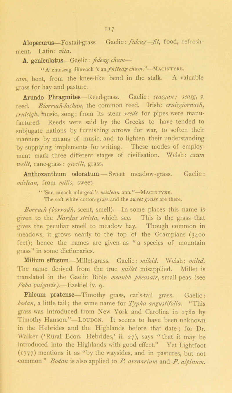 Alopecurus—Foxtail-grass Gaelic\ fideag—fit, food, refresh- ment. Latin: vita. A. geniculatus—Gaelic: fideag chain— “A’ chuiseag dhlreach’s an fhiteag chain.”—MacIntyre. cam, bent, from the knee-like bend in the stalk. A valuable grass for hay and pasture. Arundo Phragmites—Reed-grass. Gaelic: seasgan; seasg, a reed. Biorrach-lachan, the common reed. Irish: cruisgiornach, cruisigh, fnusic, song; from its stem reeds for pipes were manu- factured. Reeds were said by the Greeks to have tended to subjugate nations by furnishing arrows for war, to soften their manners by means of music, and to lighten their understanding by supplying implements for writing. These modes of employ- ment mark three different stages of civilisation. Welsh: caivn wellt, cane-grass: qzvellt, grass. Anthoxanthum odoratum — Sweet meadow-grass. Gaelic: mislean, from milis, sweet. “’San canach min geal’s mislean ann.”—Macintyre. The soft white cotton-grass and the sweet grass are there. Borrach (borradh. scent, smell).—In some places this name is given to the Nardus stricta, which see. This is the grass that gives the peculiar smell to meadow hay. Though common in meadows, it grows nearly to the top of the Grampians (3400 feet); hence the names are given as “a species of mountain grass” in some dictionaries. Milium effusum—Millet-grass. Gaelic: mileid. Welsh: miled. The name derived from the true millet misapplied. Millet is translated in the Gaelic Bible meanbh pheasair, small peas (see Fab a vulgaris).—Ezekiel iv. 9. Phleum pratense—Timothy grass, cat’s tail grass. Gaelic: bodan, a little tail; the same name for Typha angustifolia. “This grass was introduced from New York and Carolina in 1780 by Timothy Hanson.”—Loudon. It seems to have been unknown in the Hebrides and the Highlands before that date; for Dr. Walker (‘Rural Econ. Hebrides,’ ii. 27), says “that it may be introduced into the Highlands with good effect.” Yet Lightfoot (1777) mentions it as “by the waysides, and in pastures, but not common ” Bodan is also applied to P. arenarium and P. alpinum.