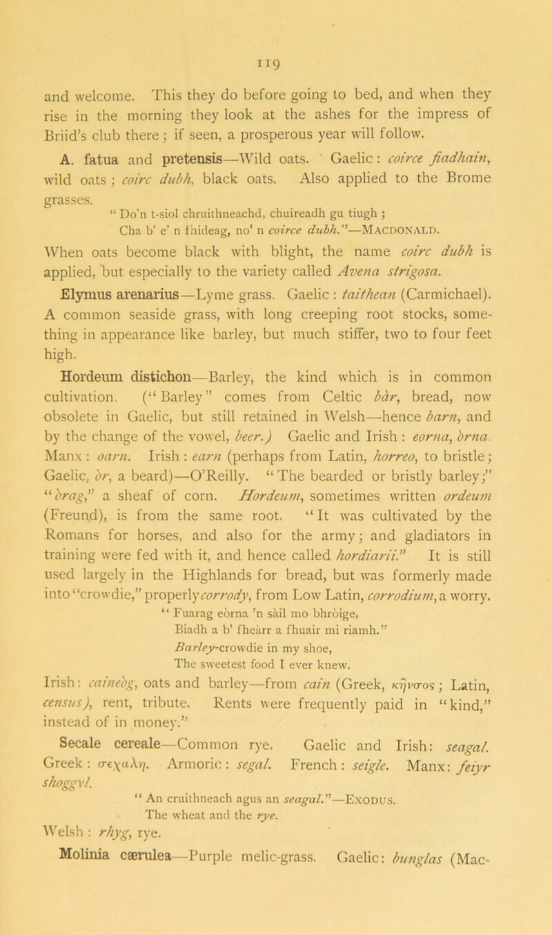 and welcome. This they do before going to bed, and when they rise in the morning they look at the ashes for the impress of Briid’s club there; if seen, a prosperous year will follow. A. fatua and pretensis—Wild oats. Gaelic: coirce fiadhain, wild oats ; coirc dubh, black oats. Also applied to the Brome grasses. “ Do’n t-siol chruithneachd, chuireadh gu tiugh ; Cha b’ e’ n fhideag, no’ n coirce dubh.—Macdonald. When oats become black with blight, the name coirc dubh is applied, but especially to the variety called Avena strigosa. Elymus arenarius—Lyme grass. Gaelic : taithean (Carmichael). A common seaside grass, with long creeping root stocks, some- thing in appearance like barley, but much stiffer, two to four feet high. Hordemn distichon—Barley, the kind which is in common cultivation. (“Barley” comes from Celtic bar, bread, now obsolete in Gaelic, but still retained in Welsh—hence barn, and by the change of the vowel, beer.) Gaelic and Irish : eorna, orna. Manx: oarn. Irish : earn (perhaps from Latin, horreo, to bristle; Gaelic, or, a beard)—O’Reilly. “The bearded or bristly barley;” “brag,’’ a sheaf of corn. Hordeum, sometimes written ordeum (Freund), is from the same root. “It was cultivated by the Romans for horses, and also for the army; and gladiators in training were fed with it, and hence called hordiarii. It is still used largely in the Highlands for bread, but was formerly made into “crowdie,” properlycorrody, from Low Latin, corrodium,a worry. “ Fuarag eorna ’n sail mo bhroige, Biadh a b’ fhearr a fhuair mi riamh.” Bcirley-cioviA\s in my shoe, The sweetest food I ever knew. Irish: caineog, oats and barley—from cain (Greek, Krjvcros; Latin, census), rent, tribute. Rents were frequently paid in “kind,” instead of in money.” Secale cereale—Common rye. Gaelic and Irish: seagal. Greek: rr«x« A>p Armoric: segal. French: seigle. Manx: feiyr shoggvl. “ An cruithneach agus an seagal.—Exodus. The wheat and the rye. Welsh : rhyg, rye. Molinia caerulea—Purple melic-grass. Gaelic: butiglas (Mac-