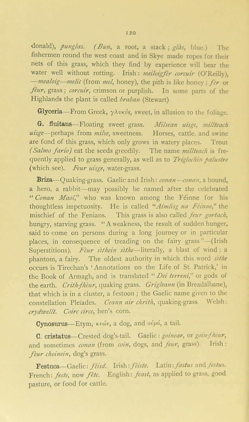 donald), punglas. (Bun, a root, a stack ; glas, blue.) The fishermen round the west coast and in Skye made ropes for their nets of this grass, which they find by experience will bear the water well without rotting. Irish : meiloigfer corcuir (O’Reilly), —mealoig—melic (from mel, honey), the pith is like honey: f'er or feur, grass; corcuir, crimson or purplish. In some parts of the Highlands the plant is called braban (Stewart) Glyceria—From Greek, ykvKvs, sweet, in allusion to the foliage. G. fluitans—Floating sweet grass. Milsean uisge, millteack uisge—perhaps from milse, sweetness. Horses, cattle, and swine are fond of this grass, which only grows in watery places. Trout (Salmo fario) eat the seeds greedily. The name millteack is fre- quently applied to grass generally, as well as to Triglochin palustre (which see). Feur uisge, water-grass. Briza—Quaking-grass. Gaelic and Irish: cotian—conan, a hound, a hero, a rabbit—may possibly be named after the celebrated “ Conan Maol,” who was known among the Feinne for his thoughtless impetuosity. He is called “Aimlisg na Feinne,” the mischief of the Fenians. This grass is also called feur gortach, hungry, starving grass. “Aweakness, the result of sudden hunger, said to come on persons during a long journey or in particular places, in consequence of treading on the fairy grass ”—(Irish Superstitions). Feur sithein sithe—literally, a blast of wind ; a phantom, a fairy. The oldest authority in which this word sithe occurs is Tirechan’s ‘Annotations on the Life of St. Patrick,’ in the Book of Armagh, and is translated “ Dei terreni,” or gods of the earth. Crithfheur, quaking grass. Grigleann (in Breadalbane), that which is in a cluster, a festoon ; the Gaelic name given to the constellation Pleiades. Ceann air chrith, quaking-grass. Welsh: crydwellt. Coirc circe, hen’s corn. Cynosurus—Etym, Kvdiv, a dog, and or pa, a tail. C. cristatus—Crested dog’s-tail. Gaelic : goinear, or goin-fheur, and sometimes conan (from coin, dogs, and feur, grass). Irish : flur choinein, dog’s grass. Festuca—Gaelic: feisd. Irish: feiste. Latin\ foetus and festus. French: feste, now fete. English: feast, as applied to grass, good pasture, or food for cattle.